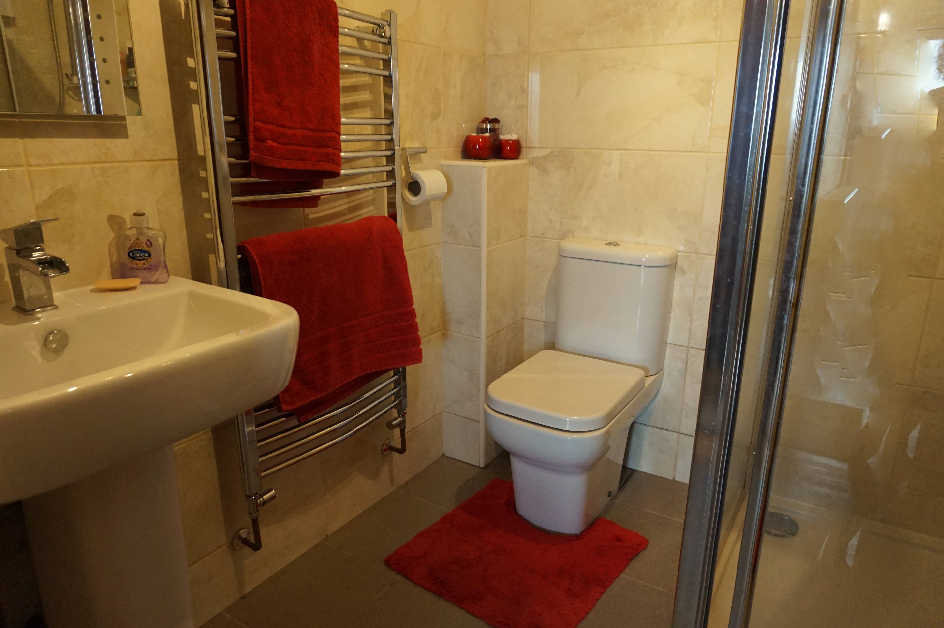 Downstairs Shower