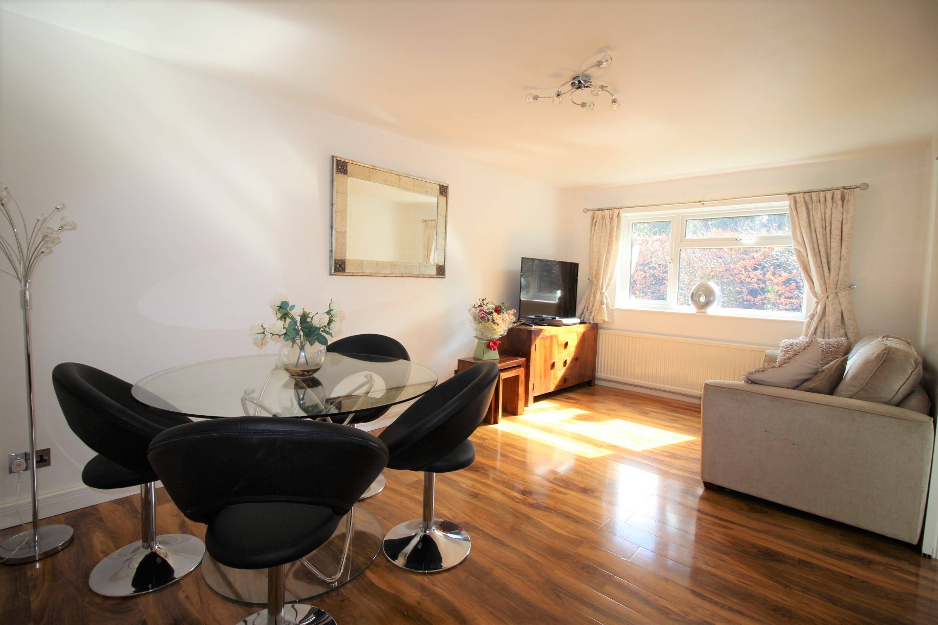Lounge/Dining Room