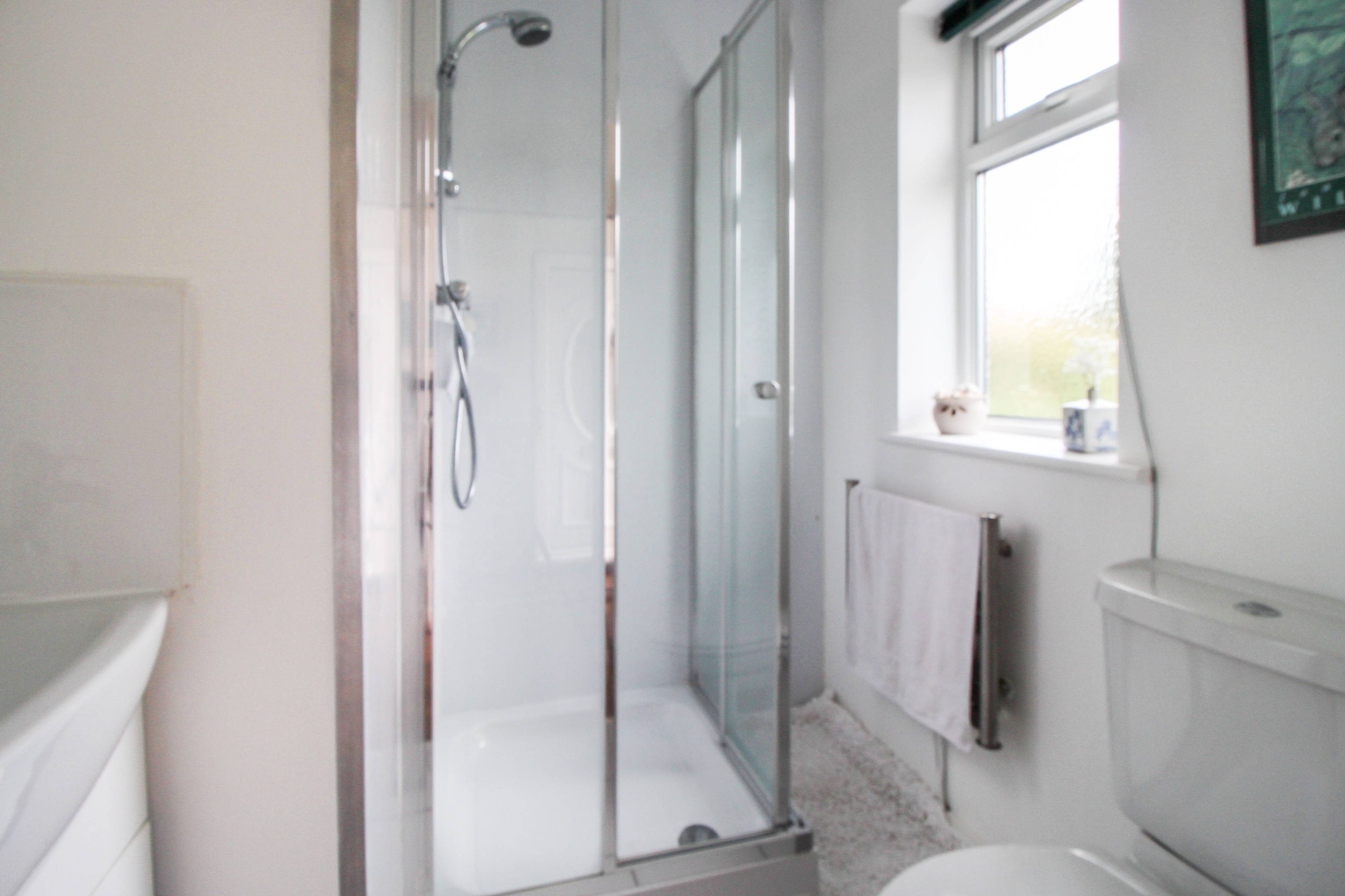 Downstairs Shower