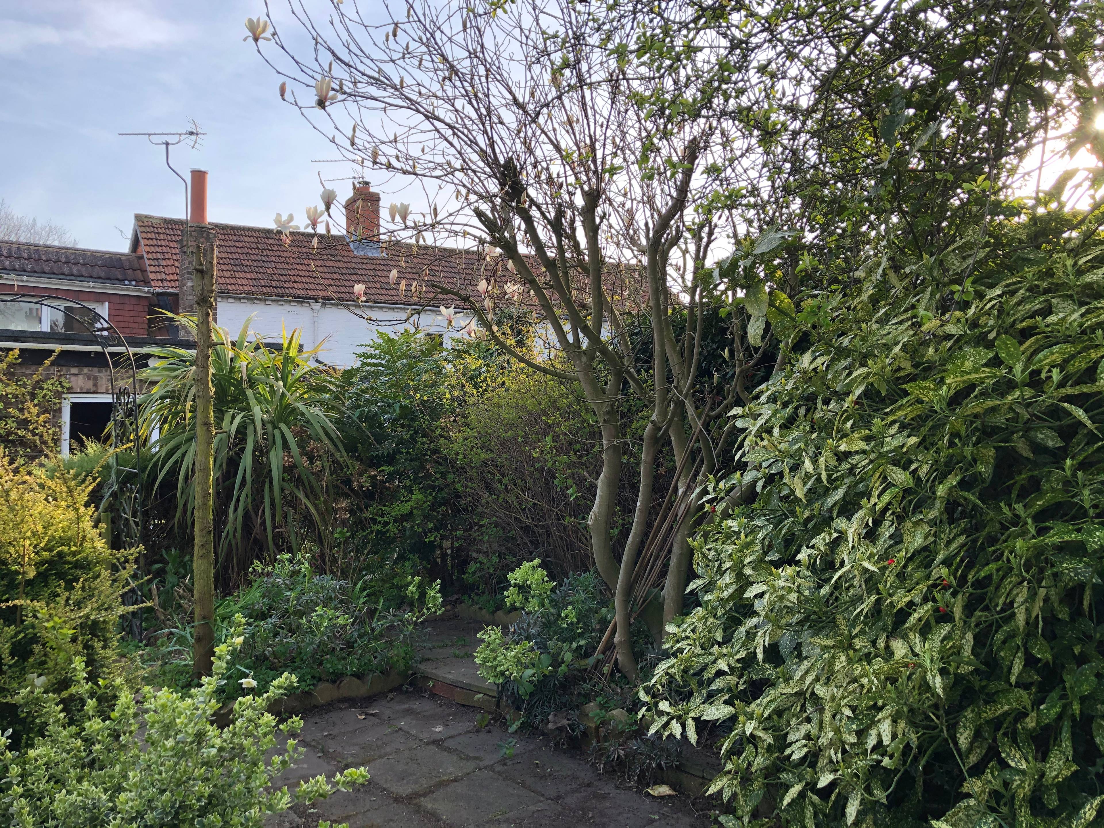 Mature Garden