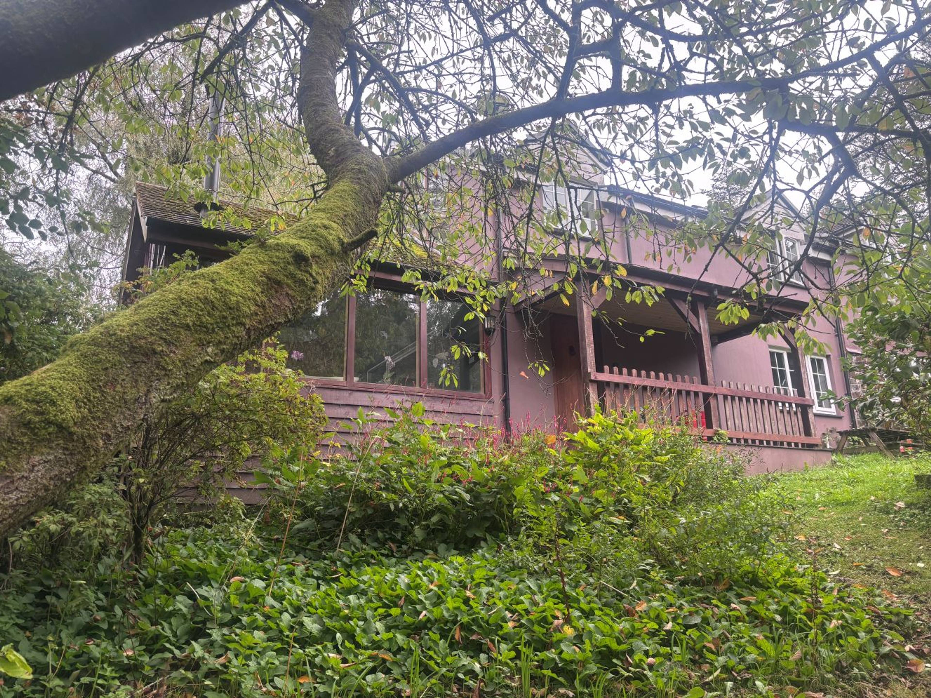 The Lodge