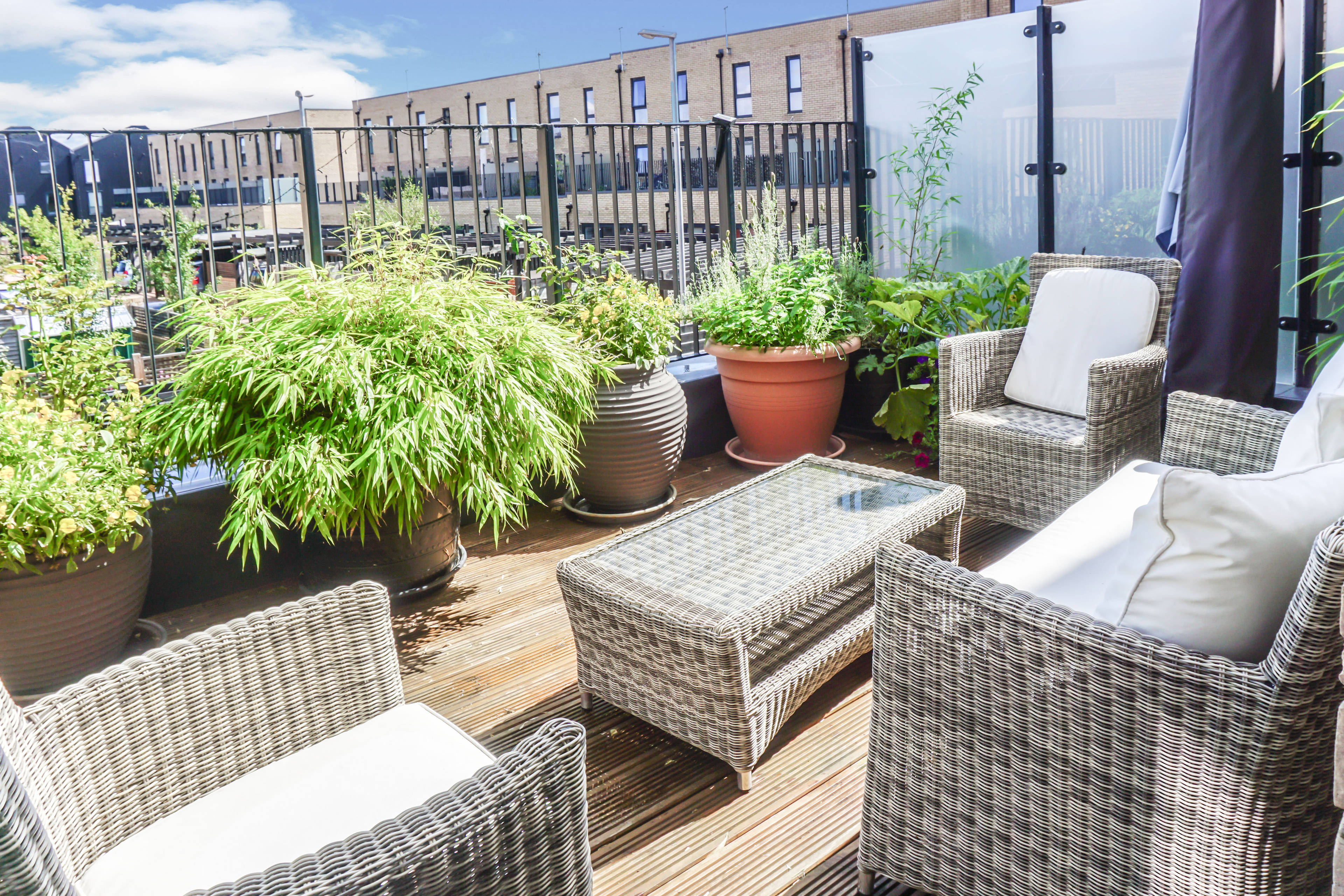 Sun Terrace