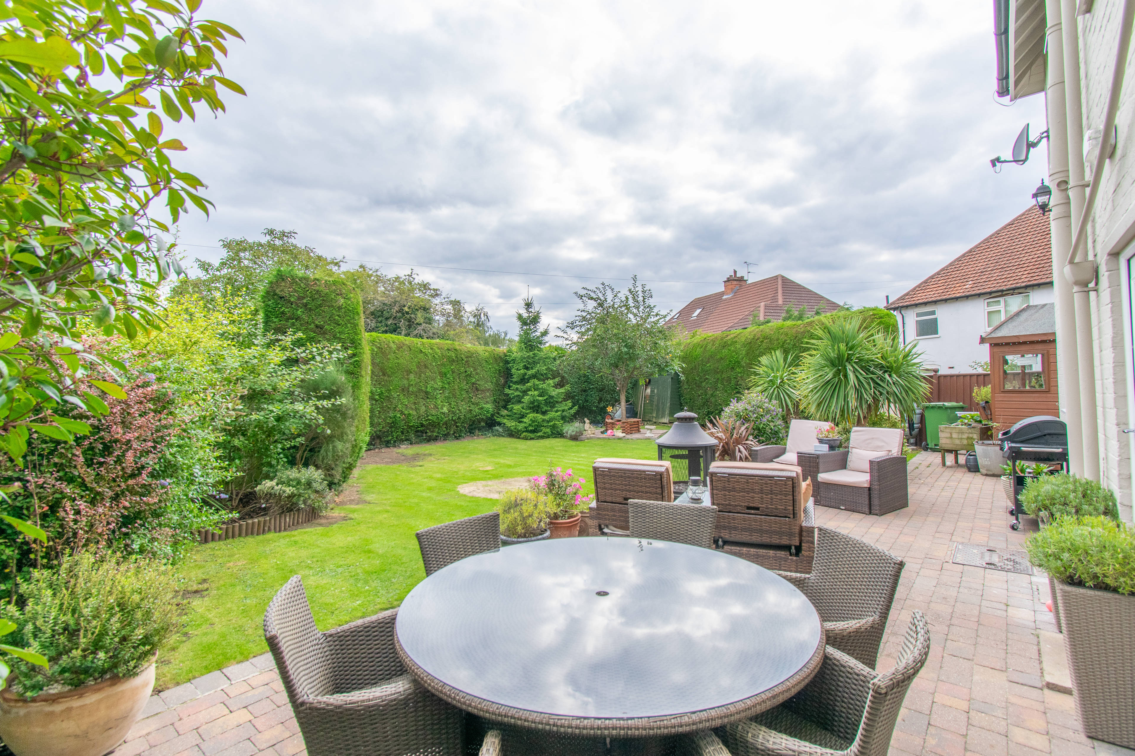 rear garden