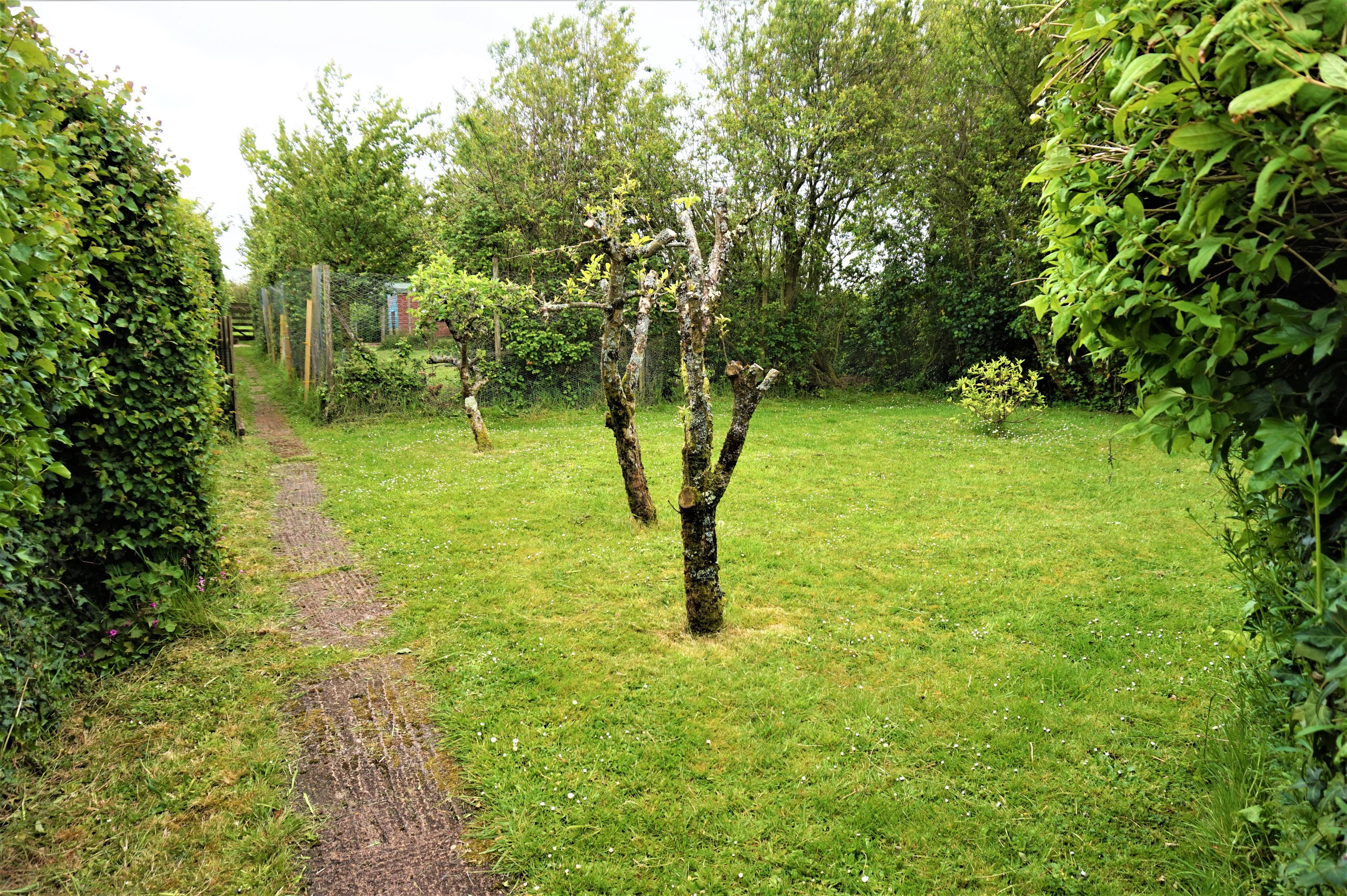 Orchard