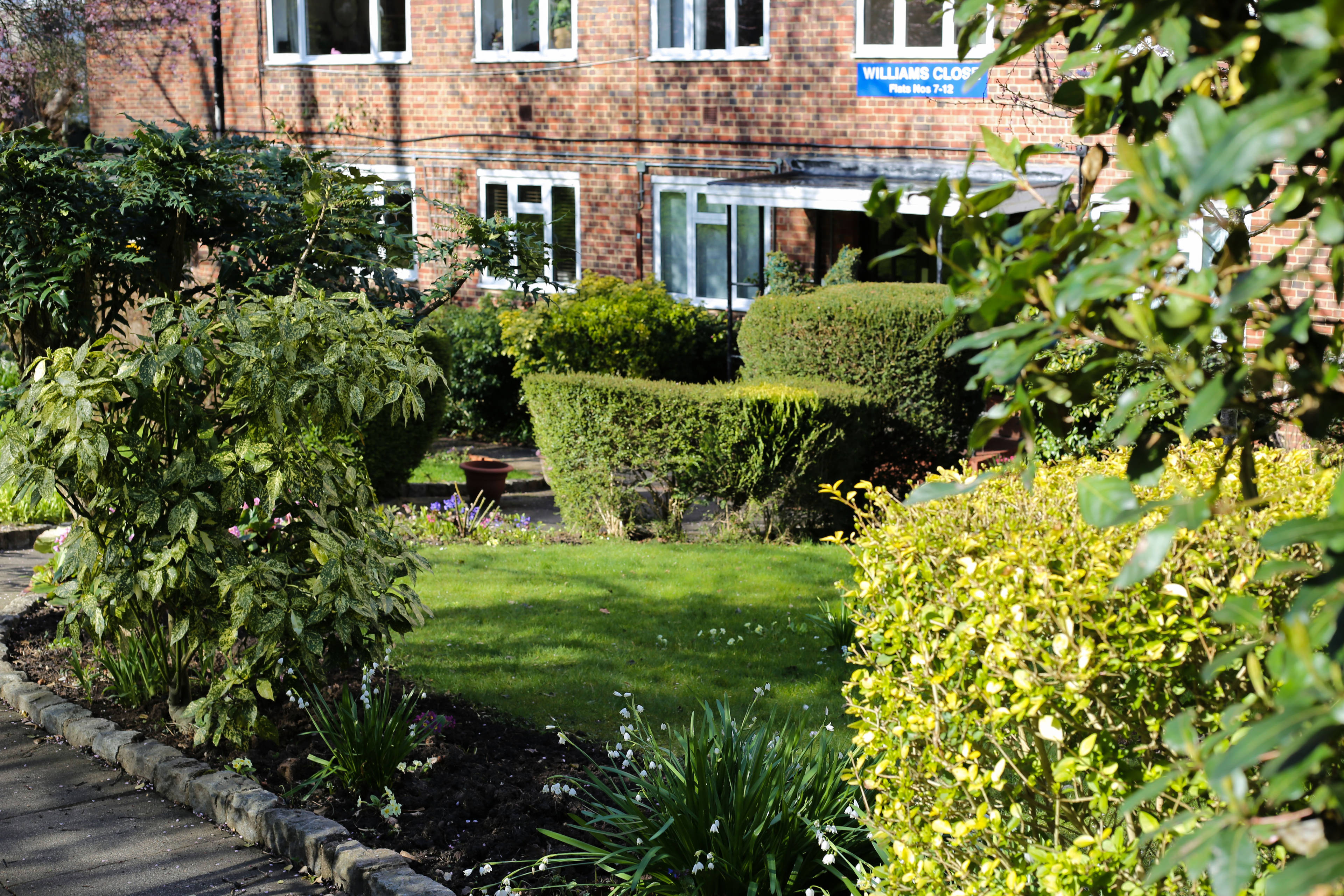 Communal Gardens