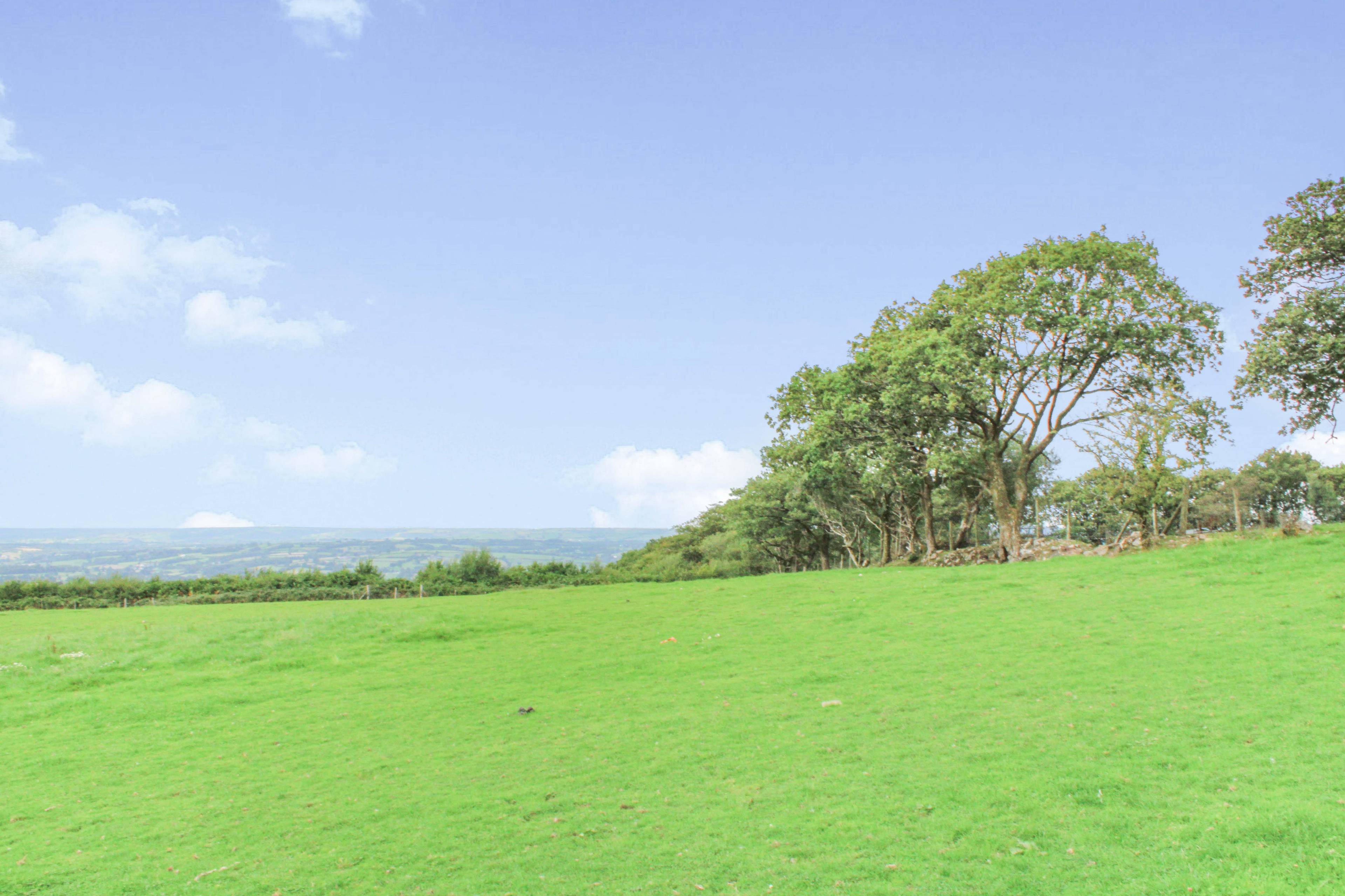 Land