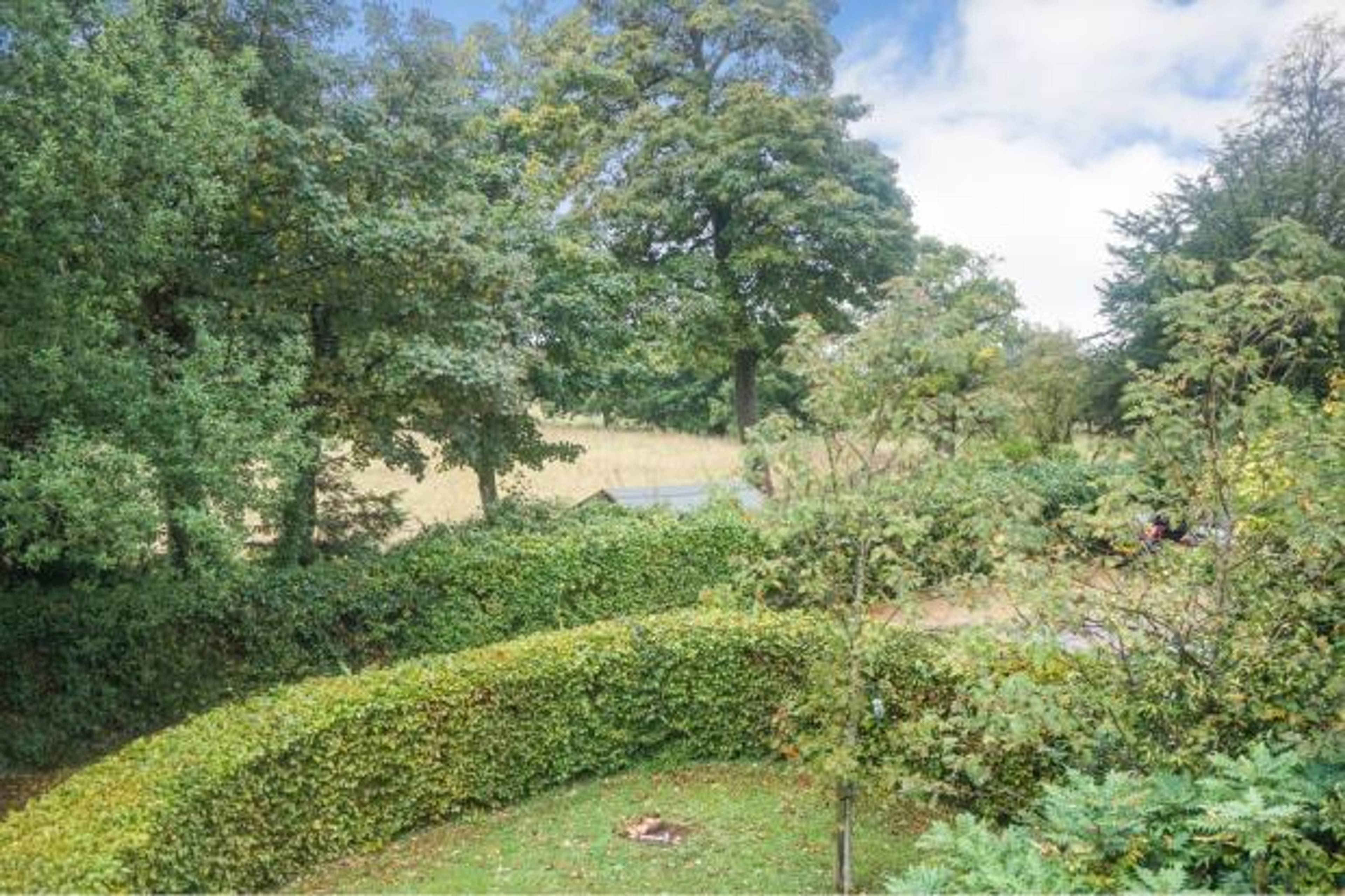 Communal Gardens