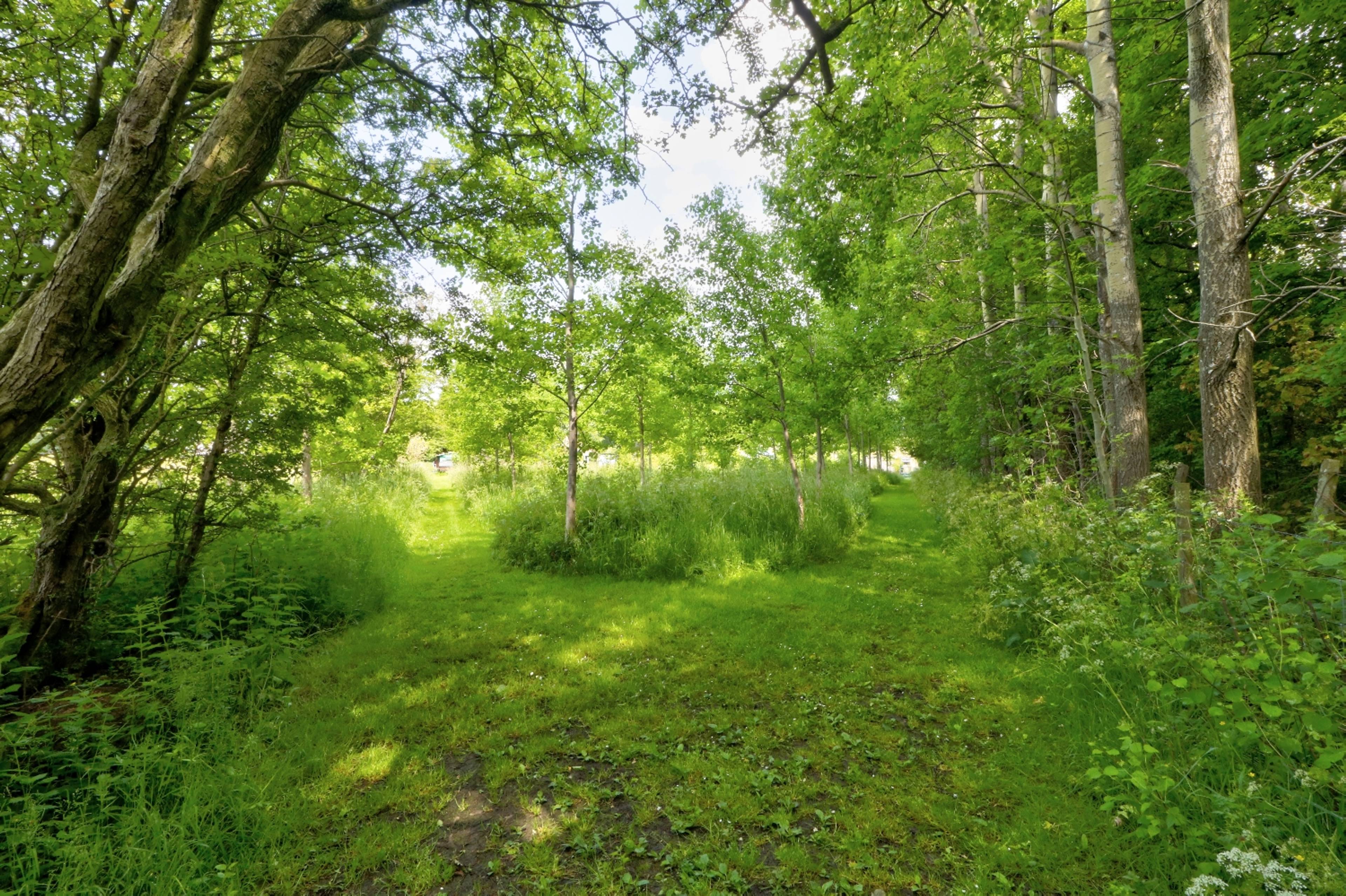 Field