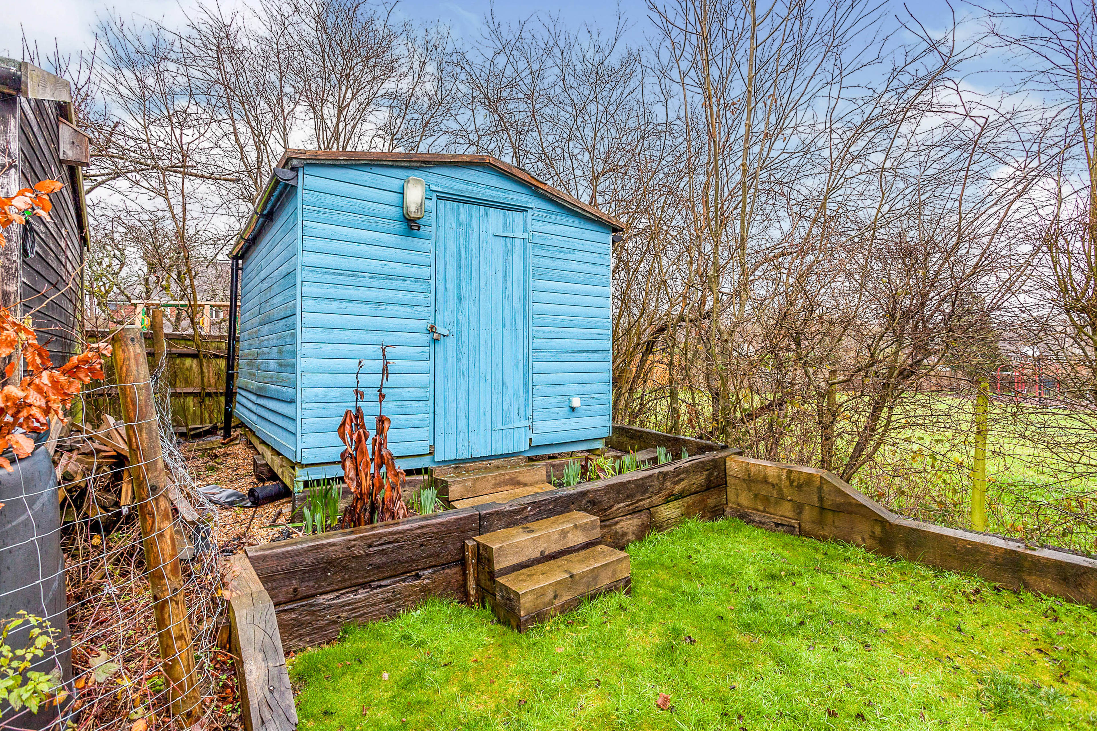 Shed