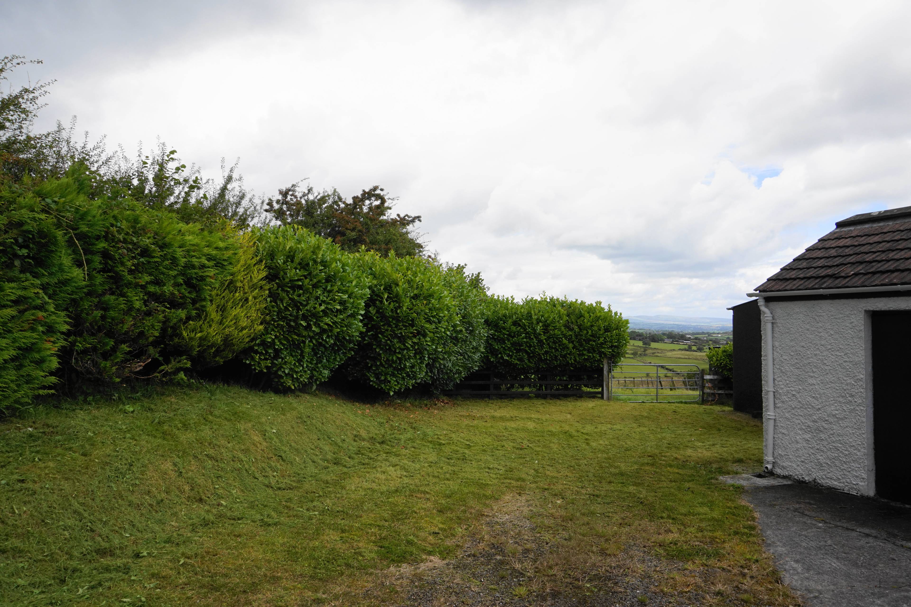 Side Garden
