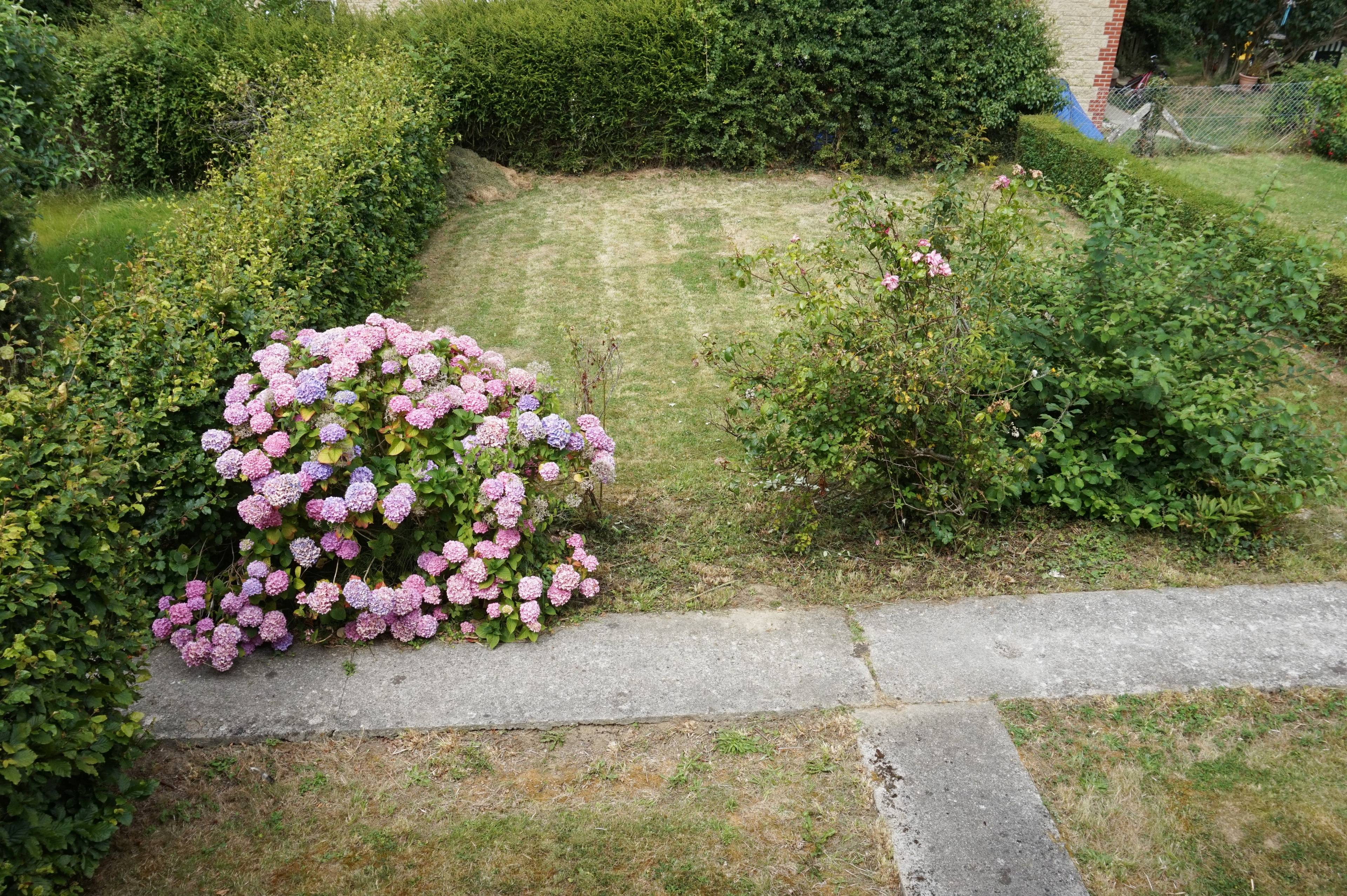 Front Garden