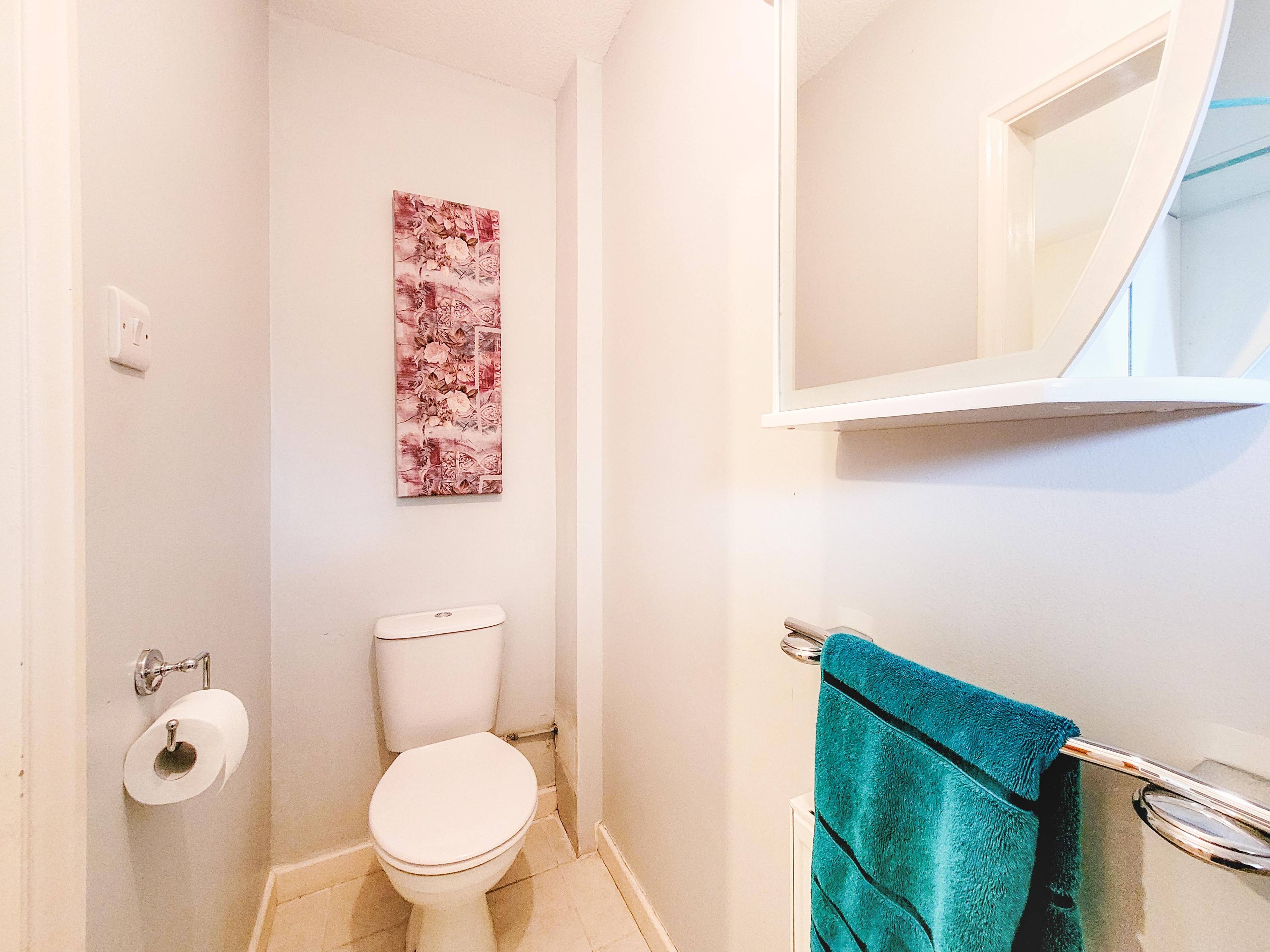 Downstairs Cloakroom