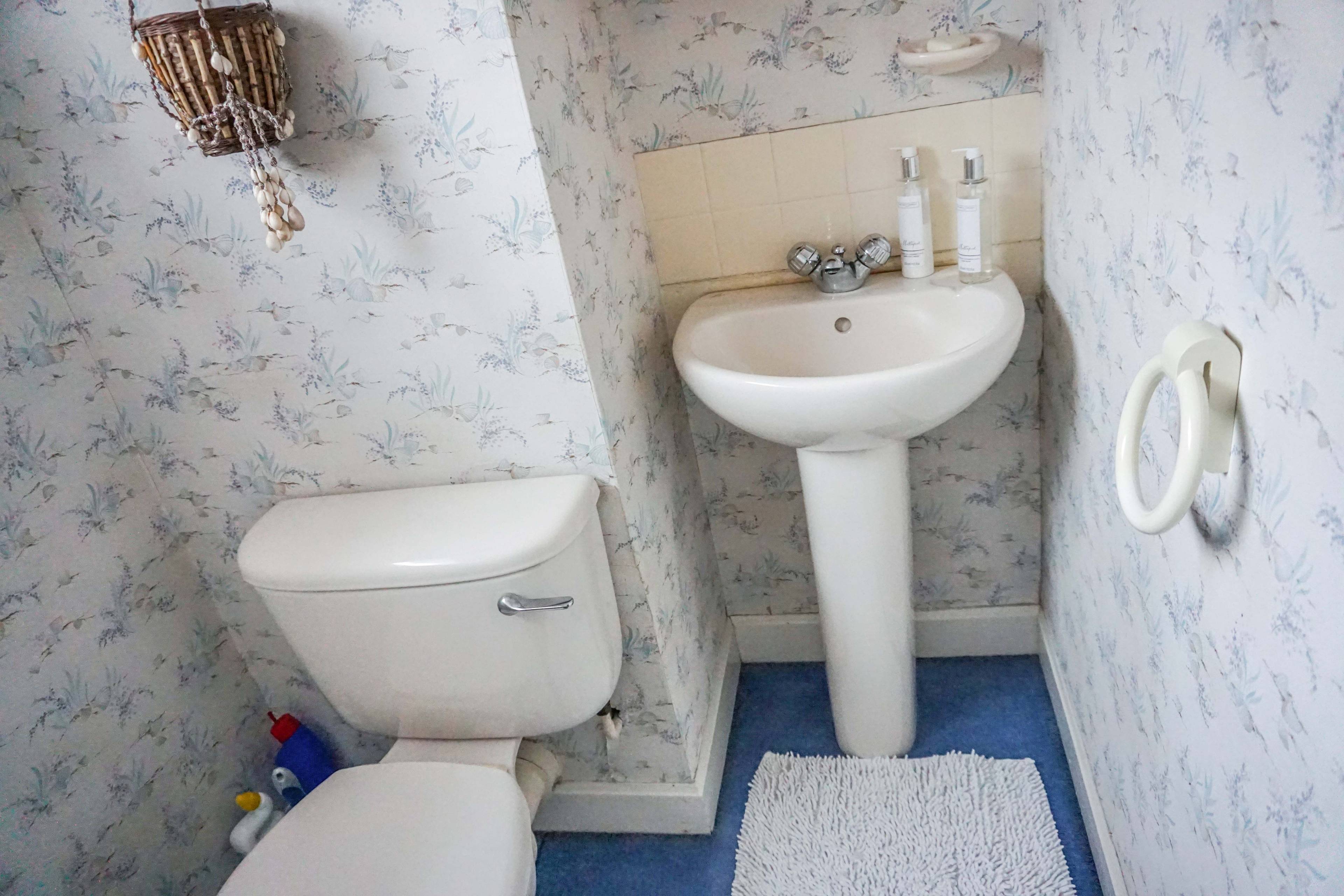 Downstairs Cloakroom