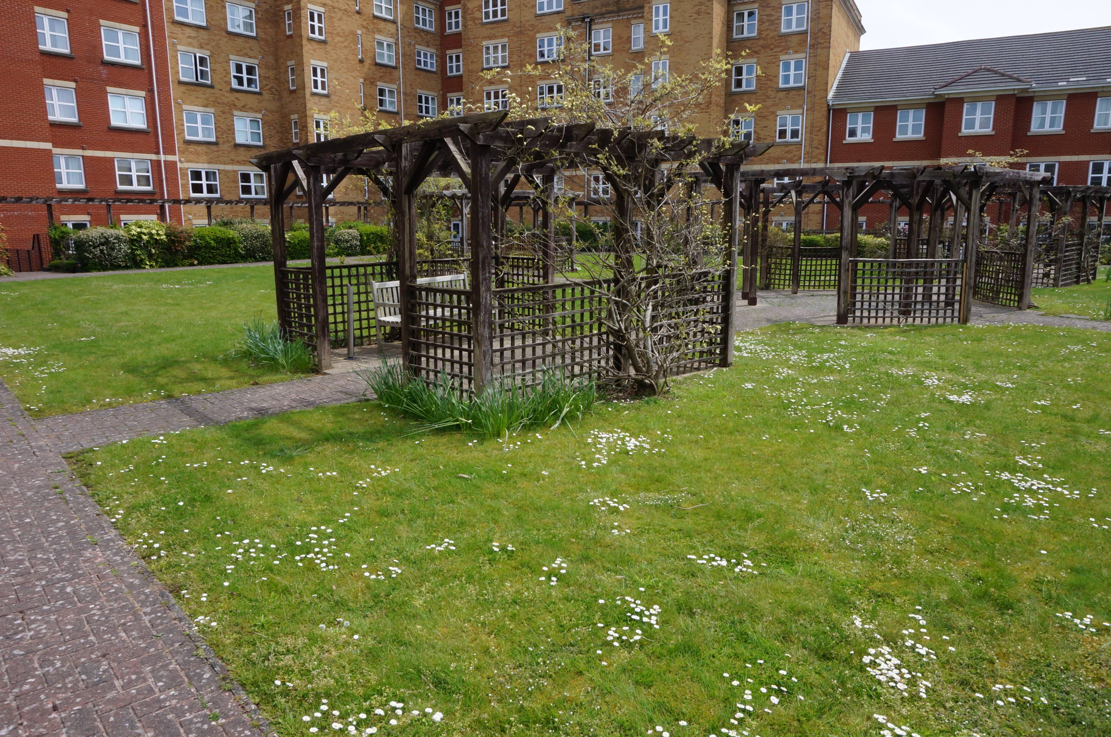 Communal Courtyard