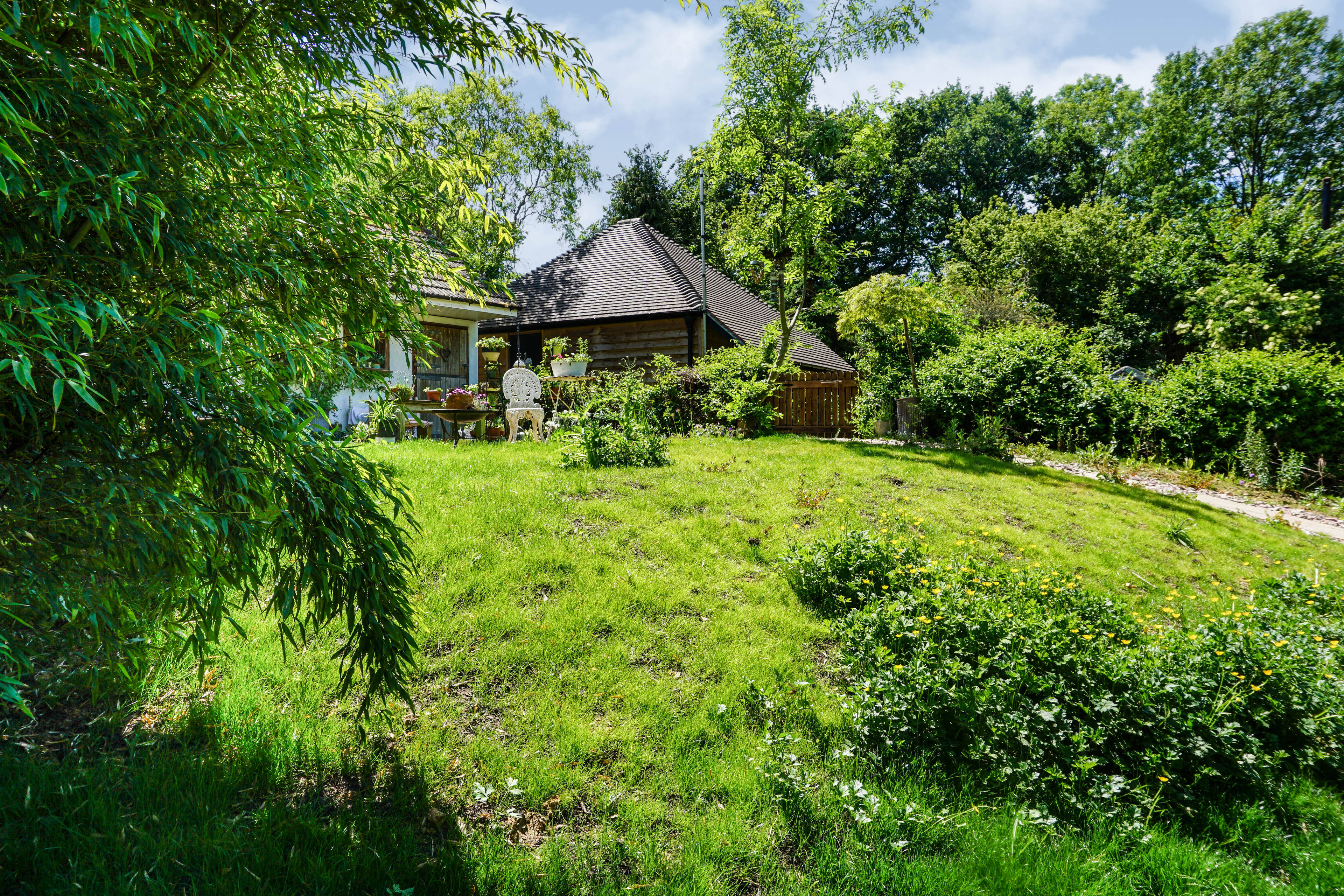 Garden