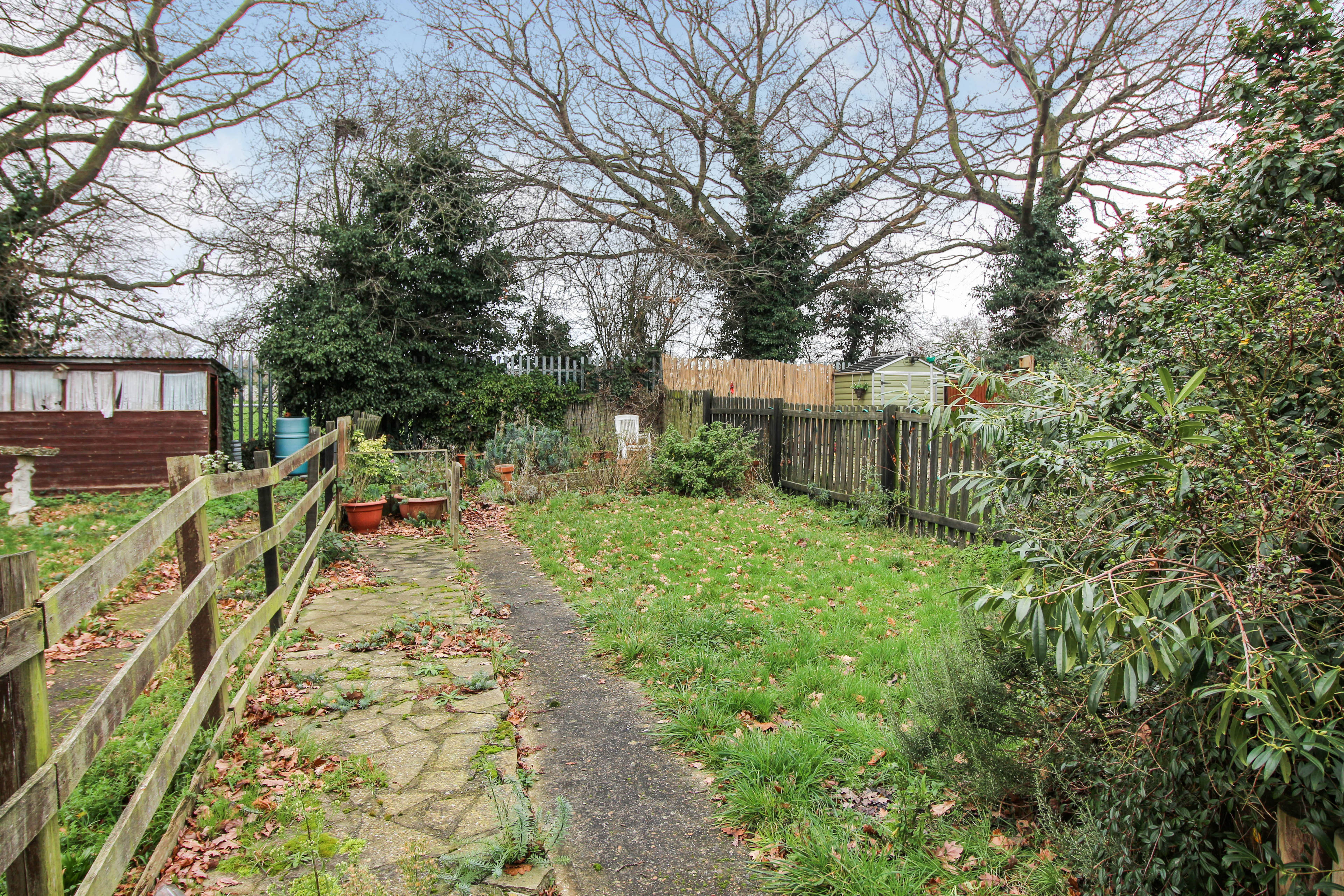 Garden