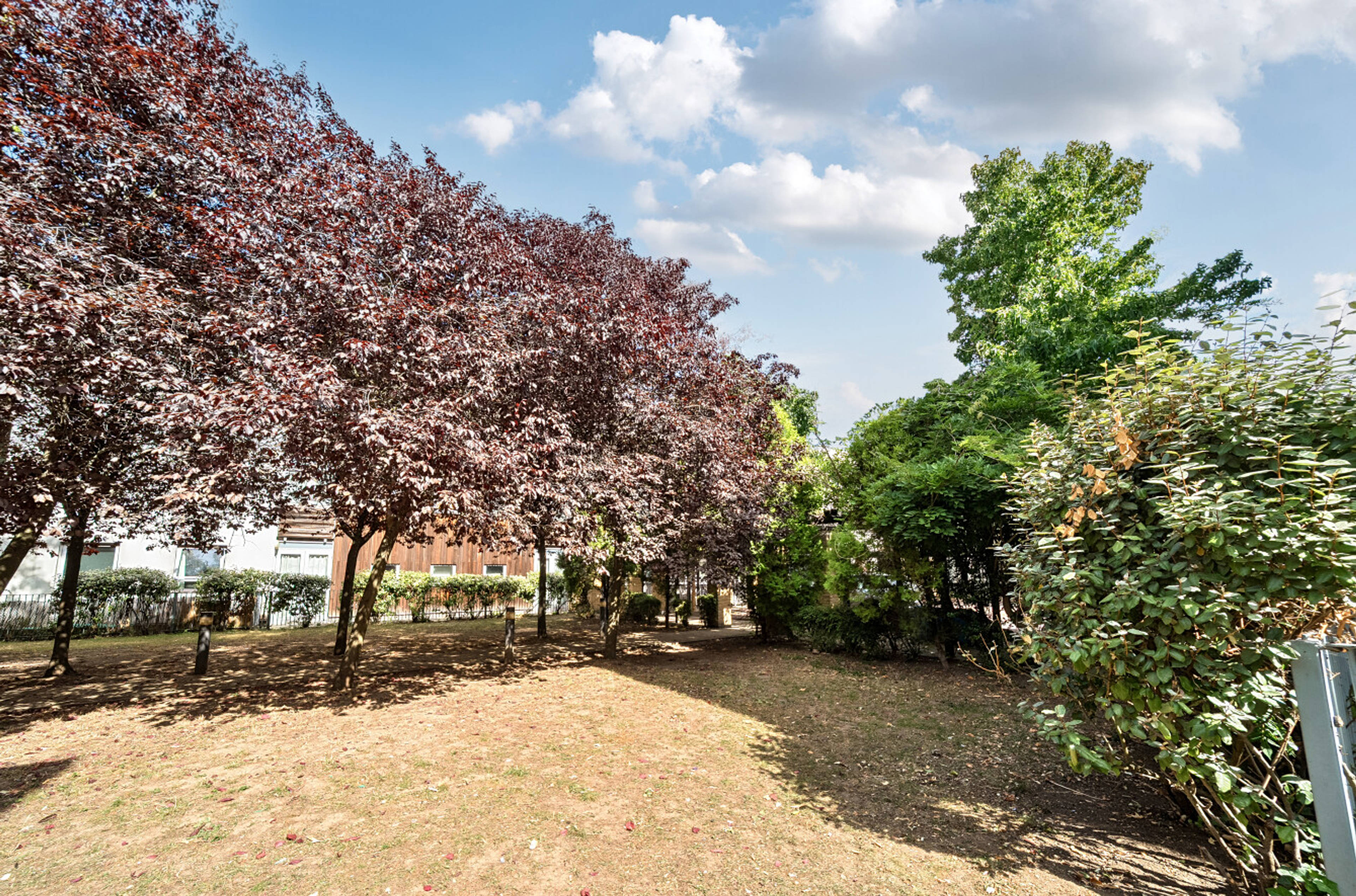 Communal Gardens