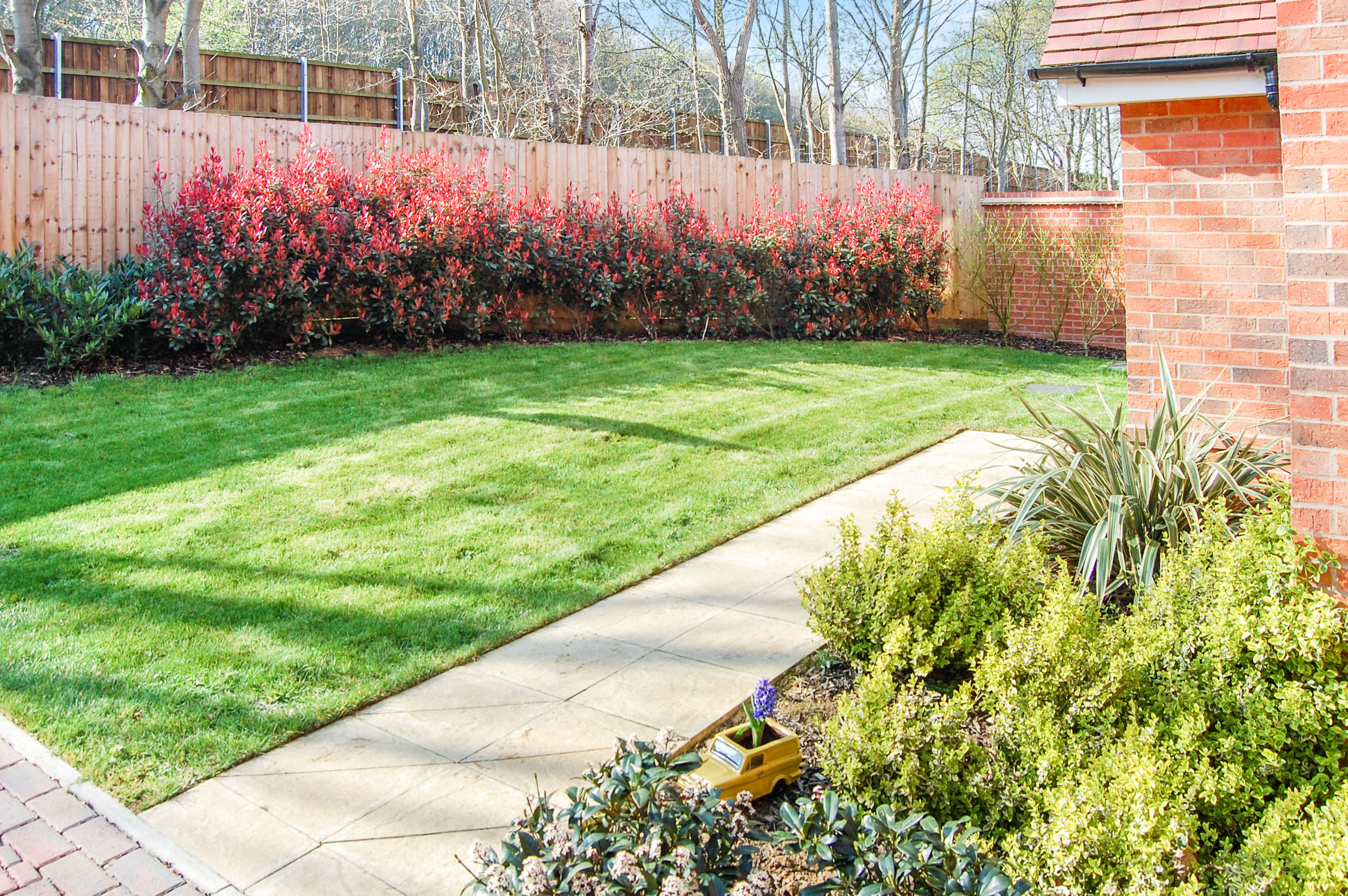 Front Garden