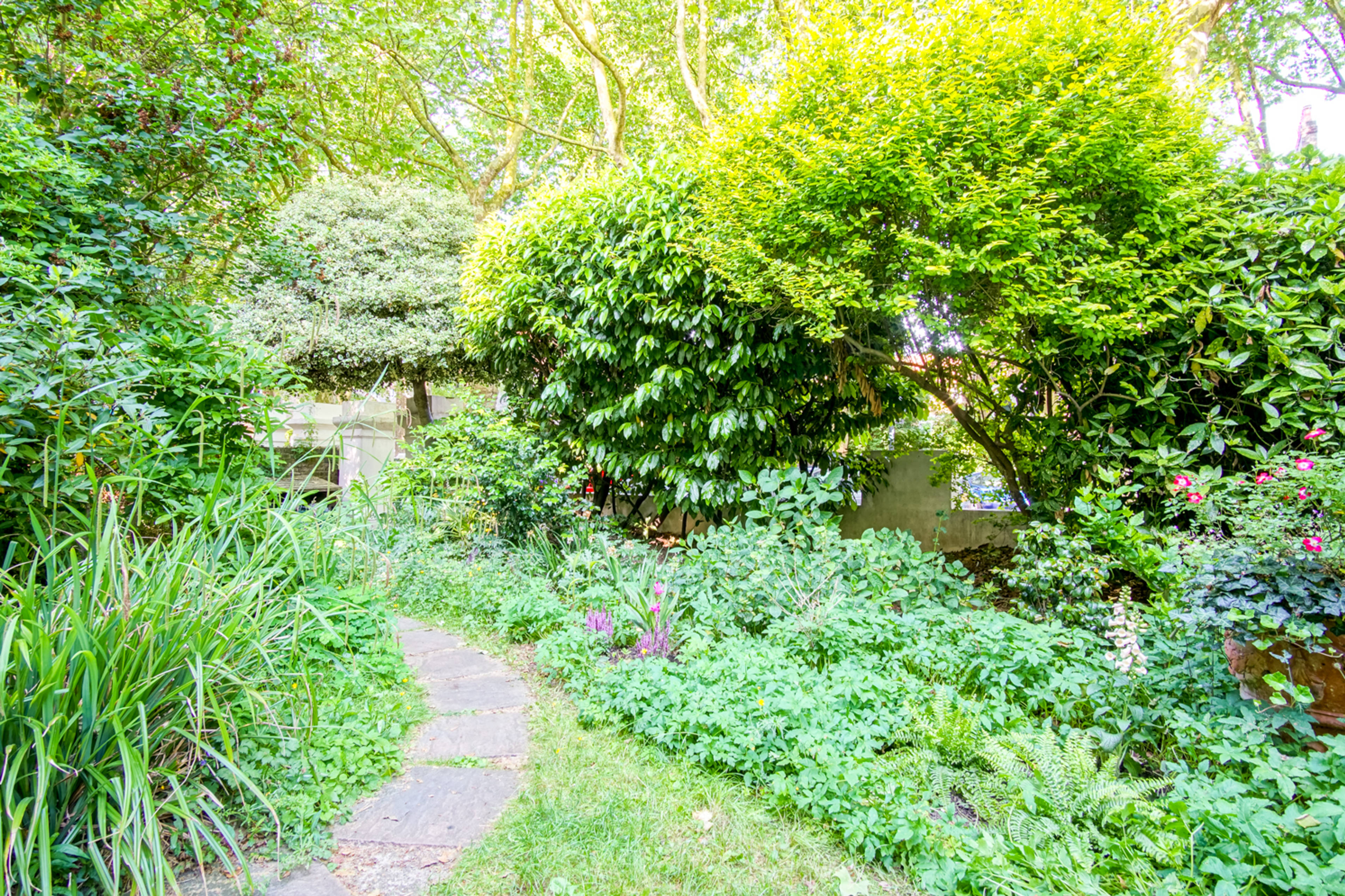 Front Garden
