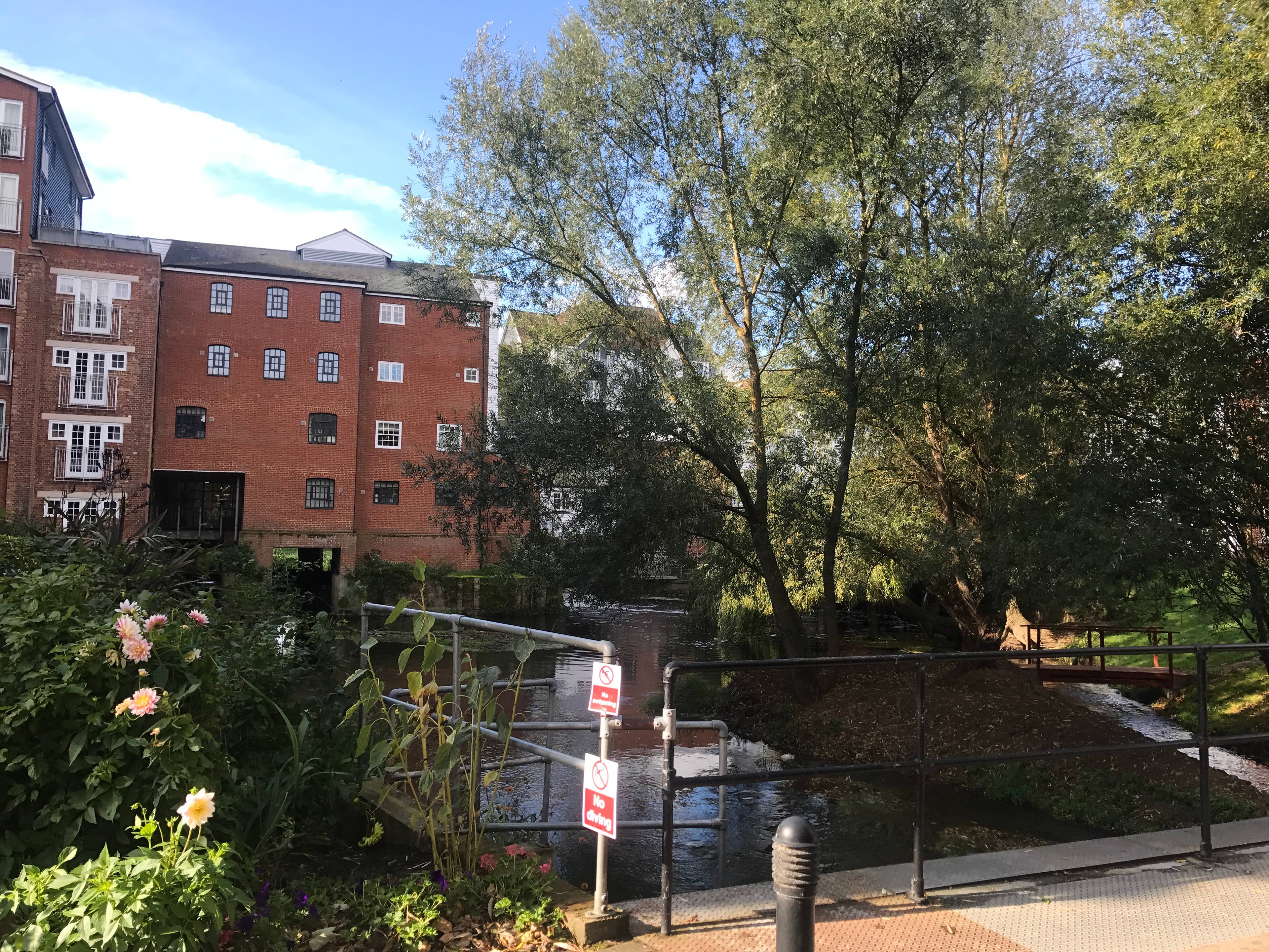 Grounds