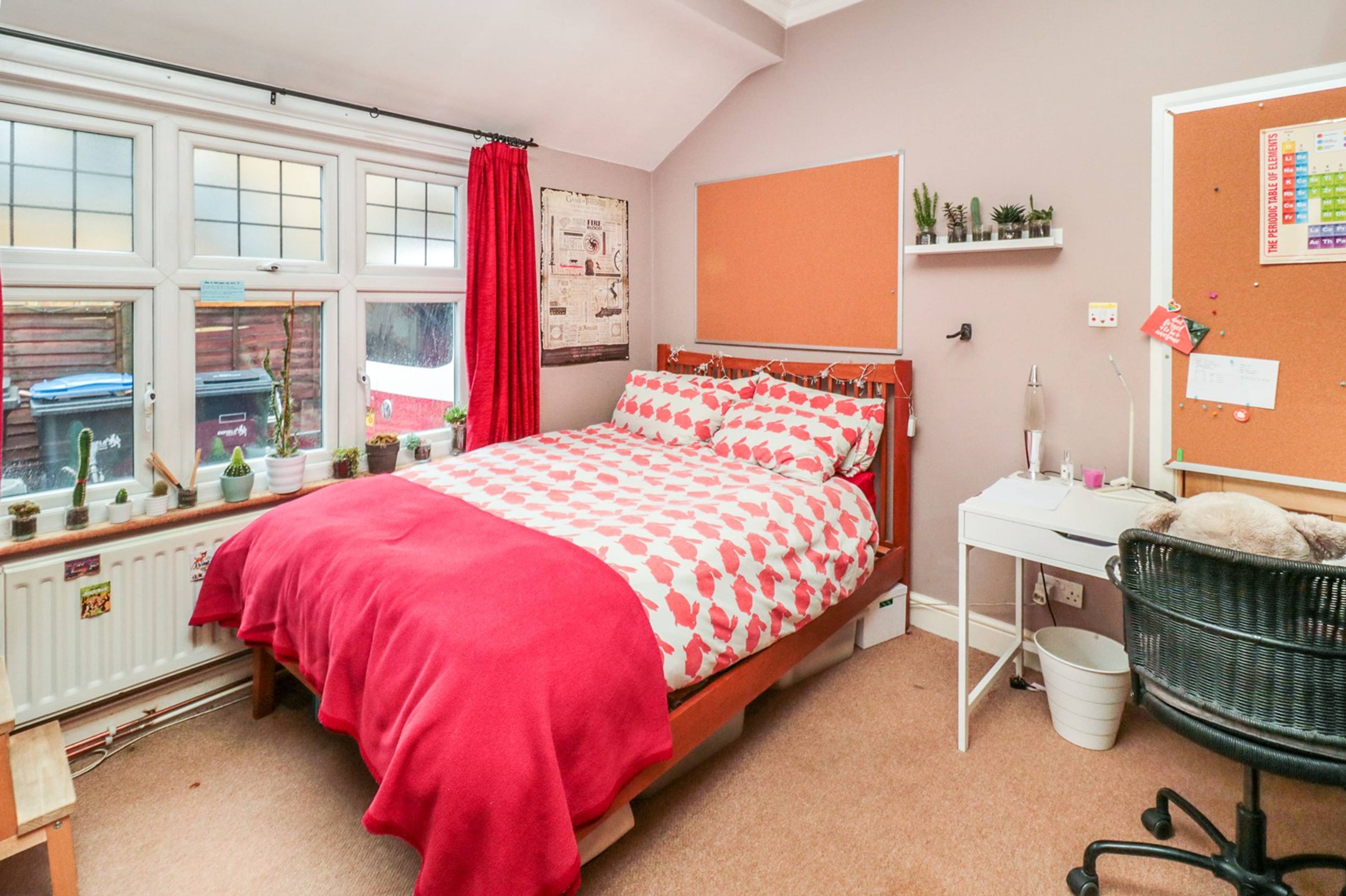 Bed Five / Reception