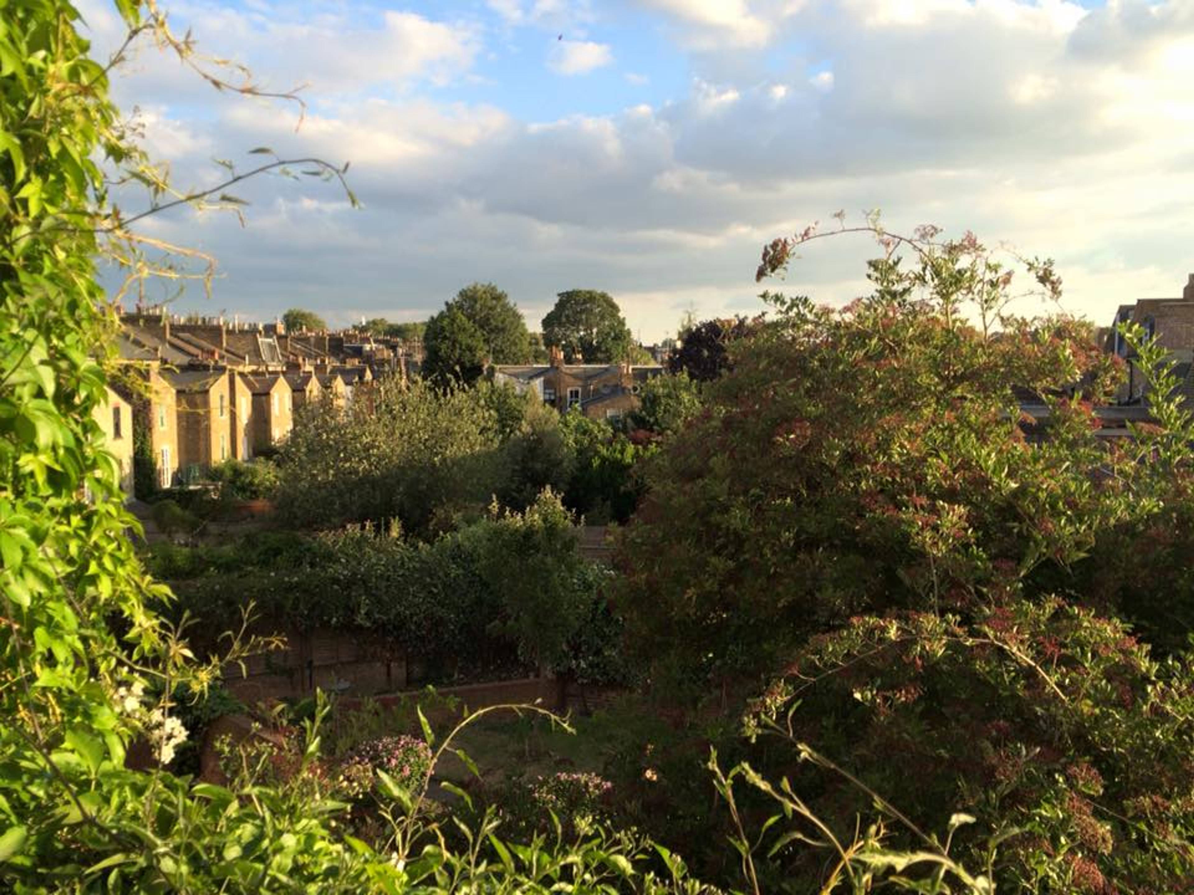 Communal Gardens