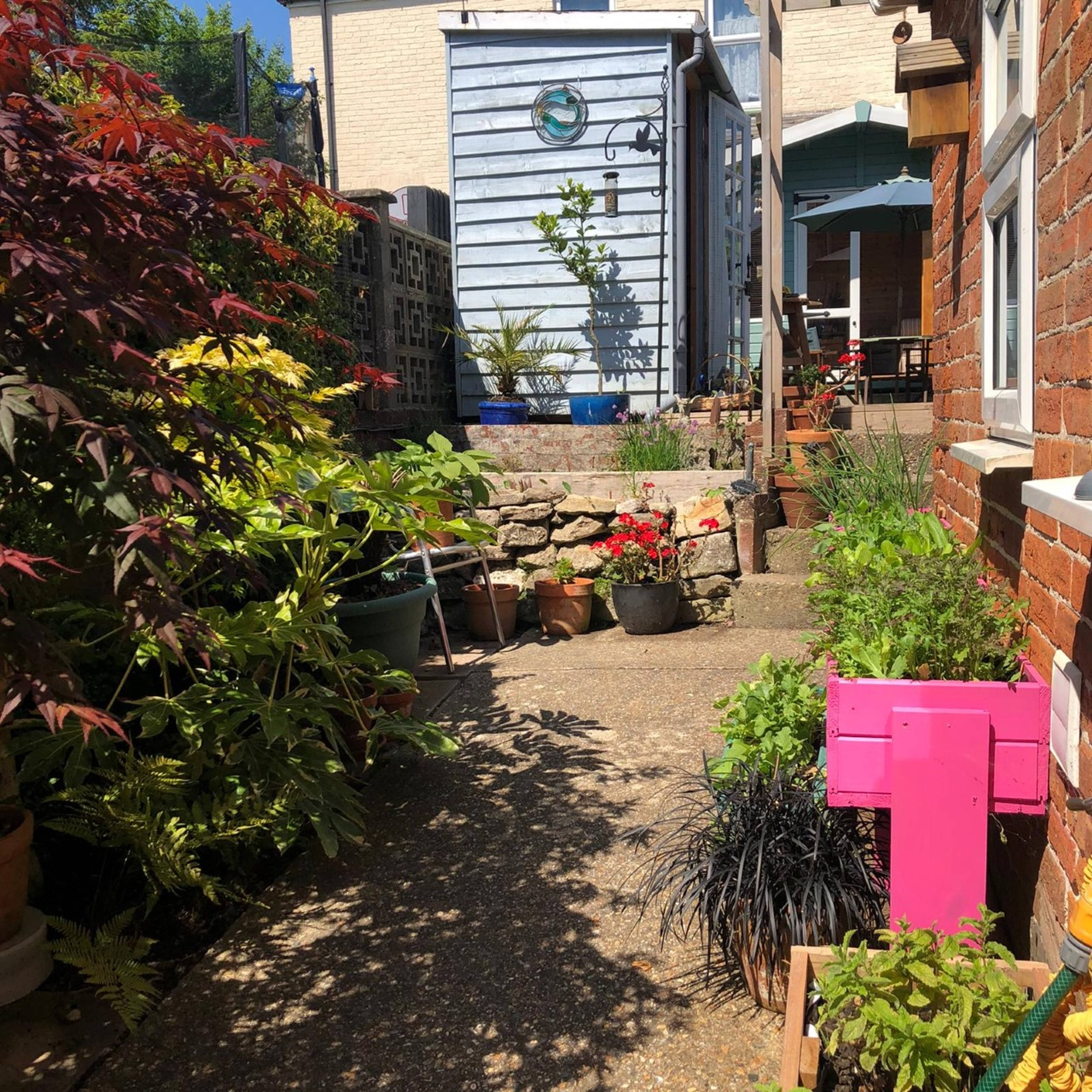 Garden