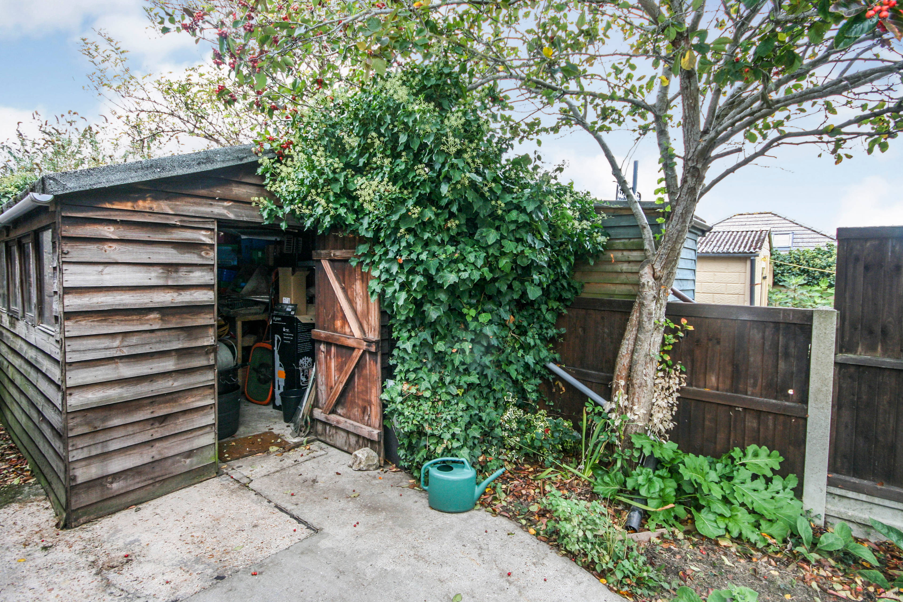 Shed