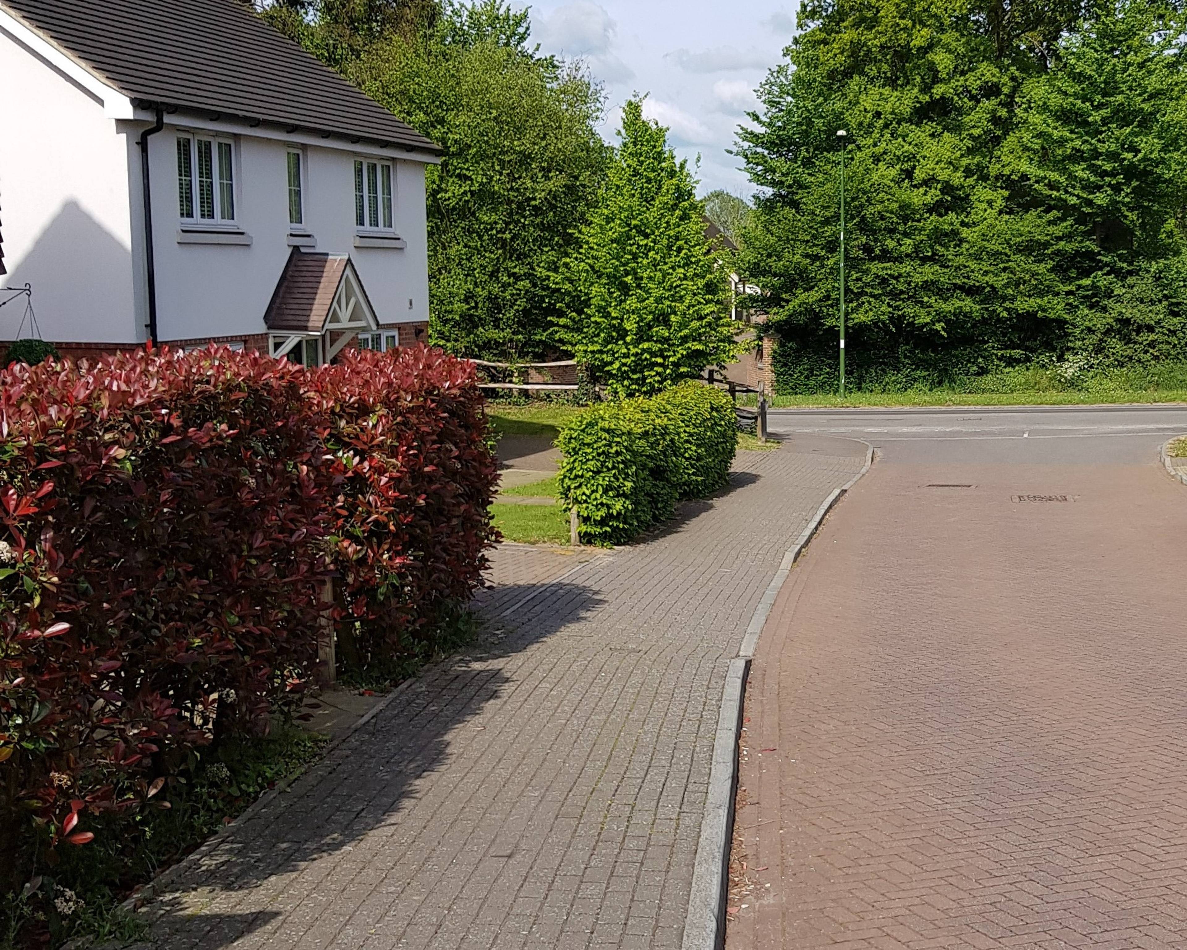 Street Scene