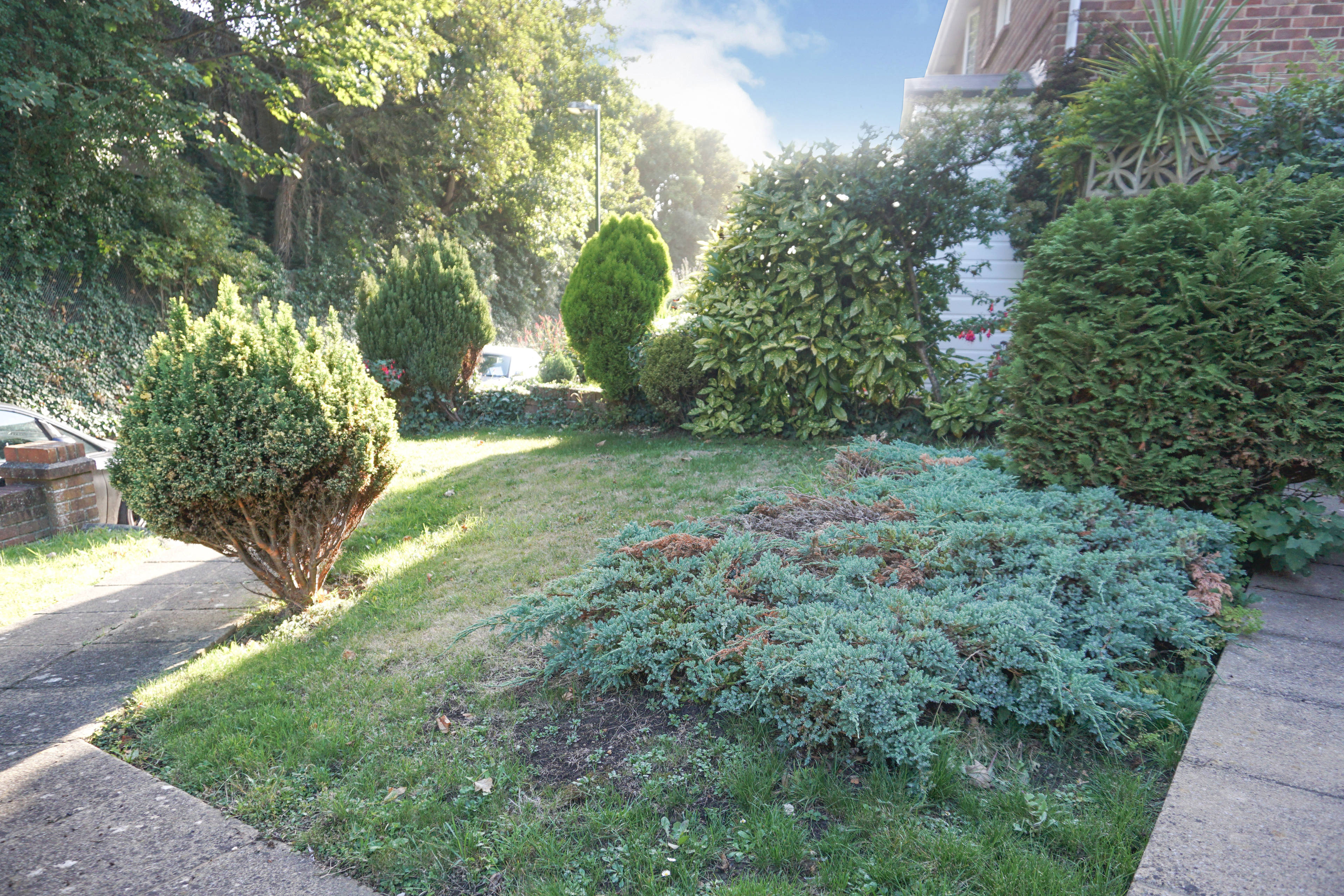 Front Garden