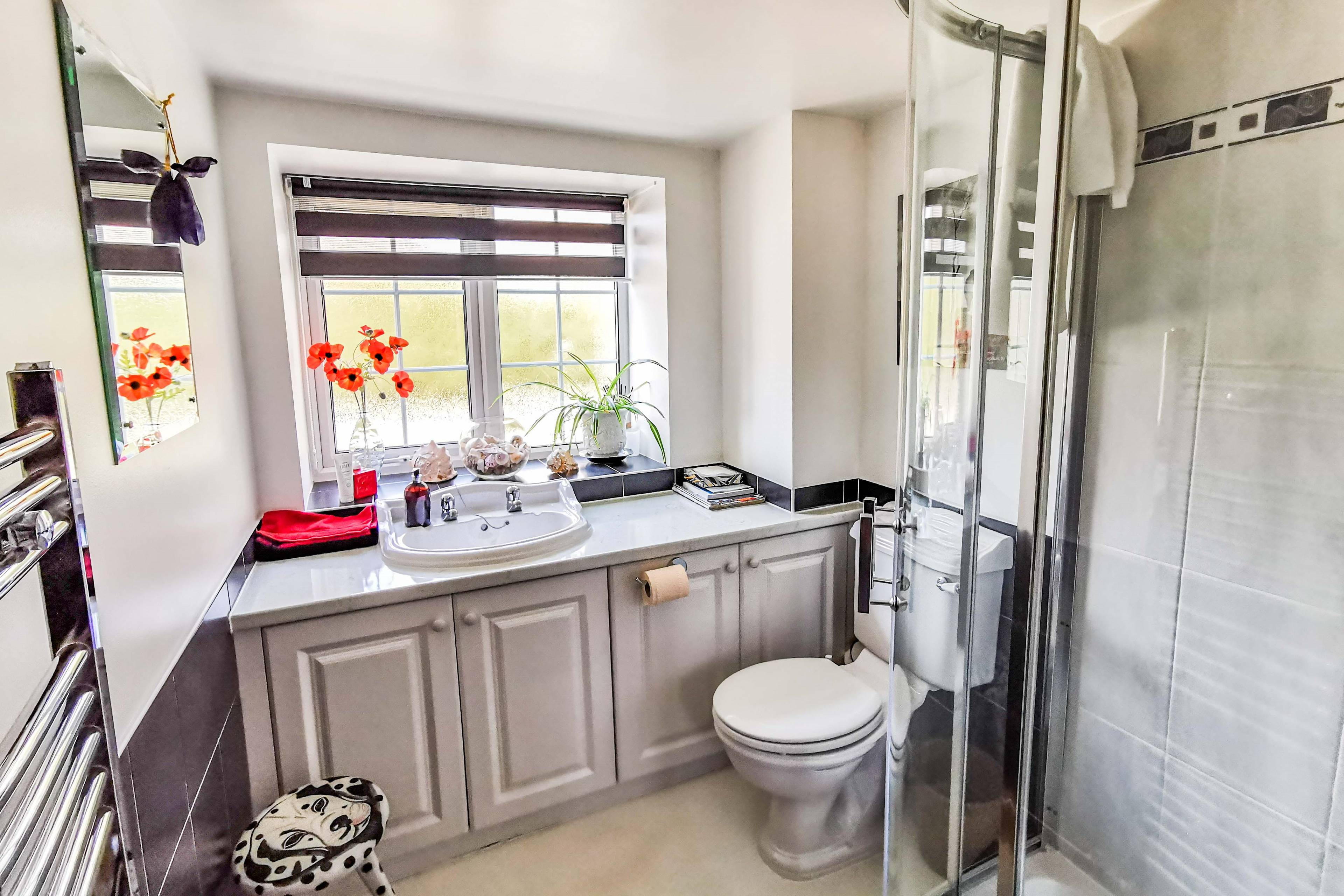 Downstairs Shower