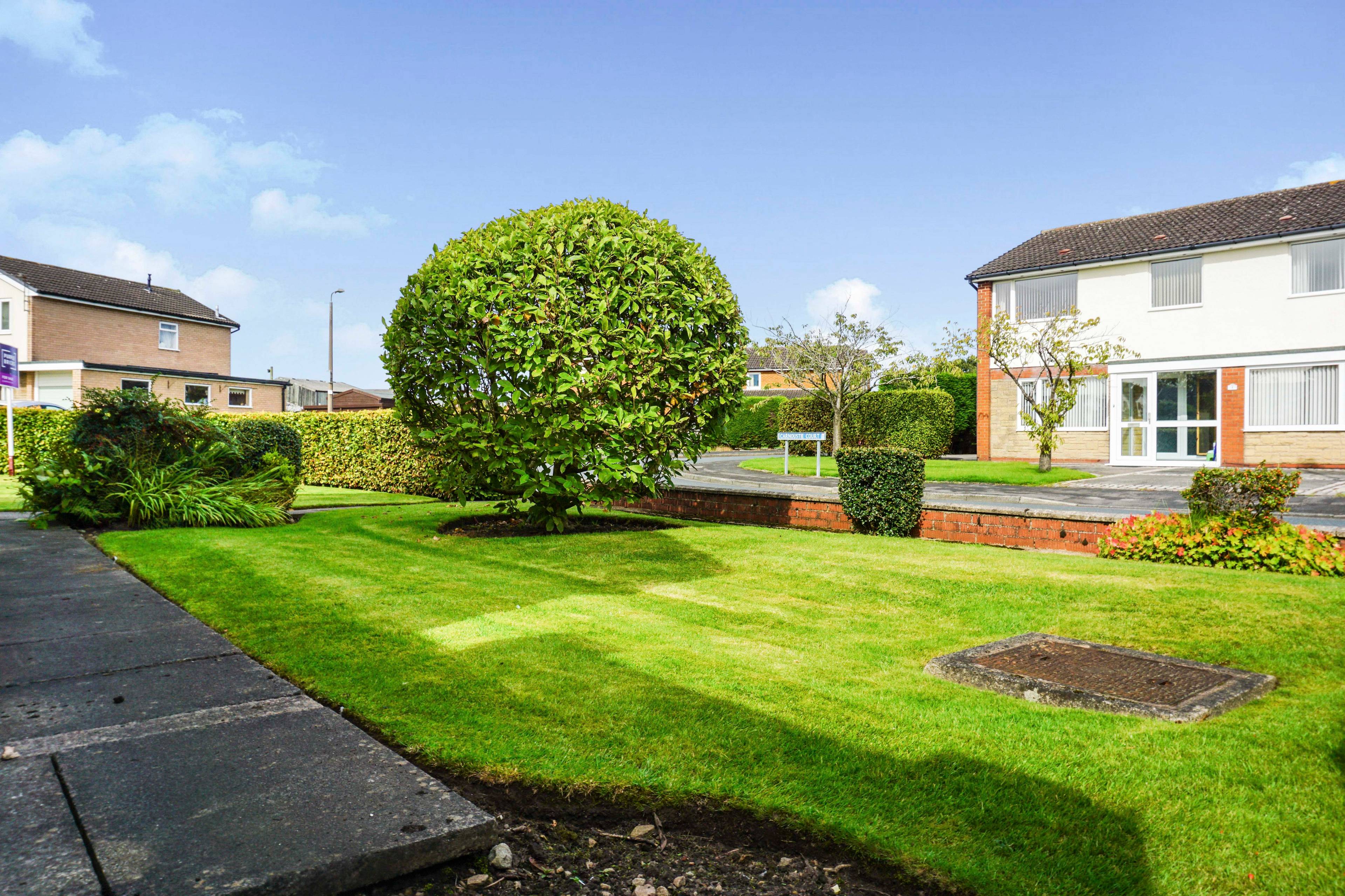 Side Garden