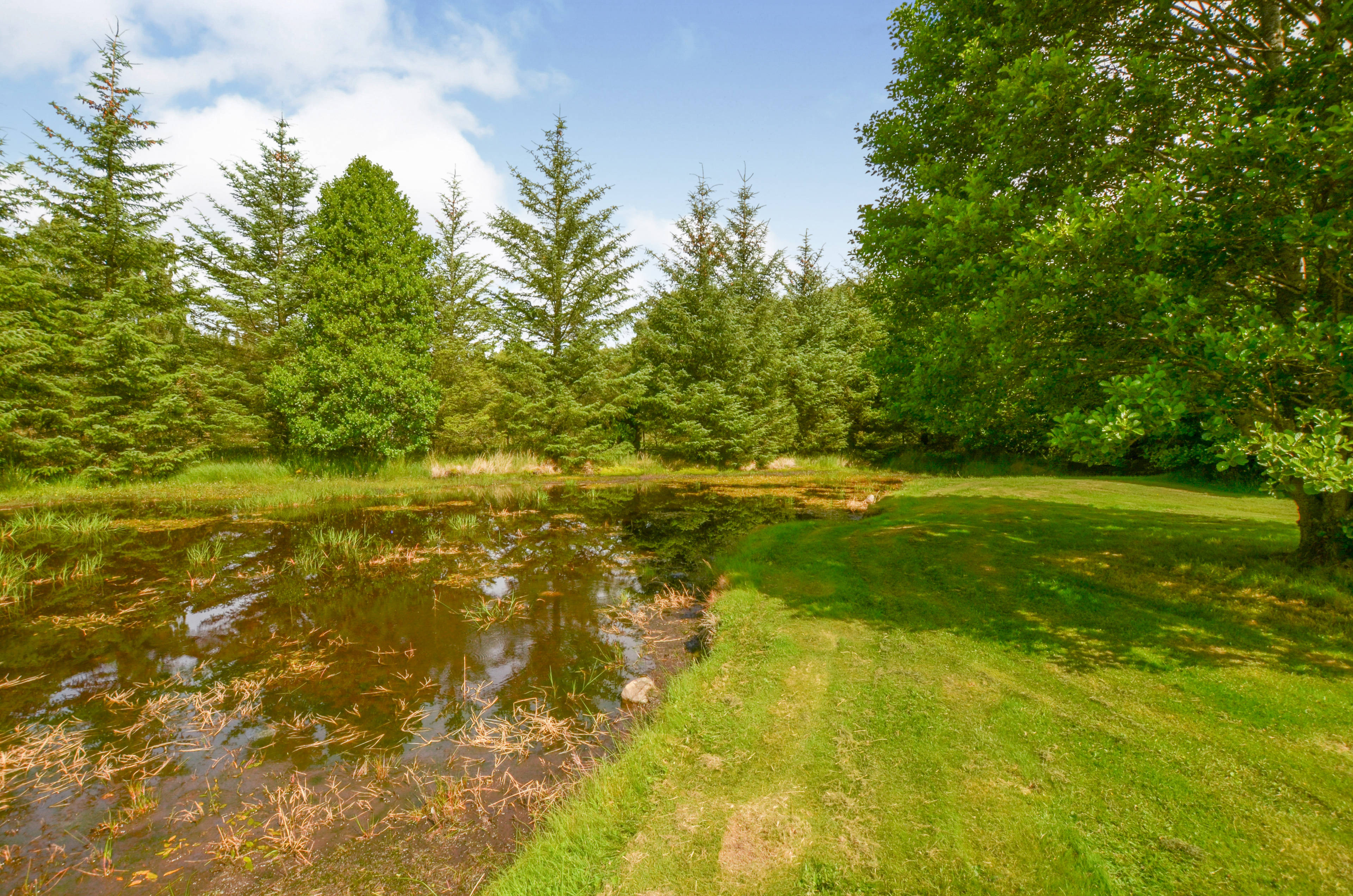 Pond