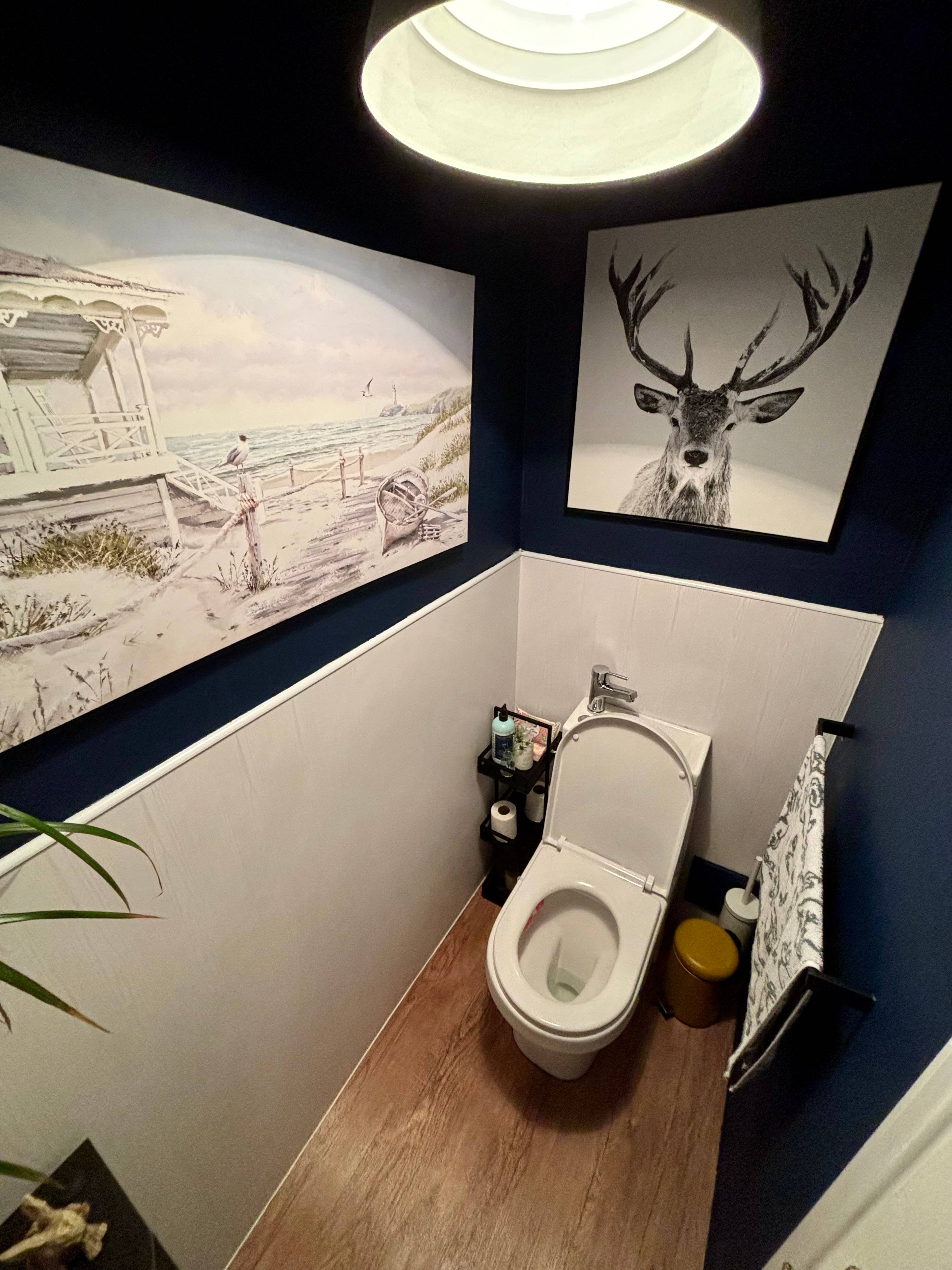 Downstairs Bathroom