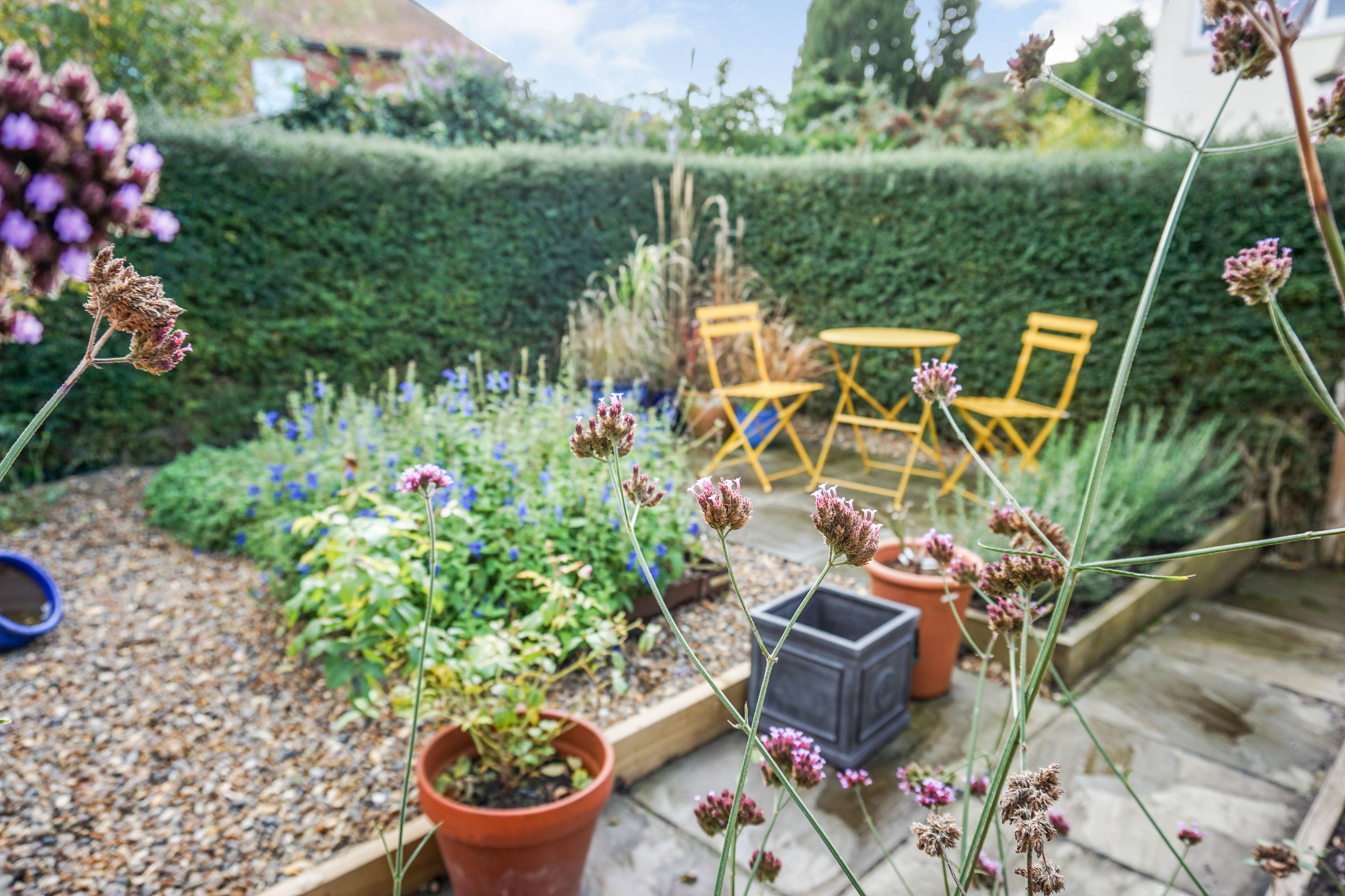 Cottage Garden