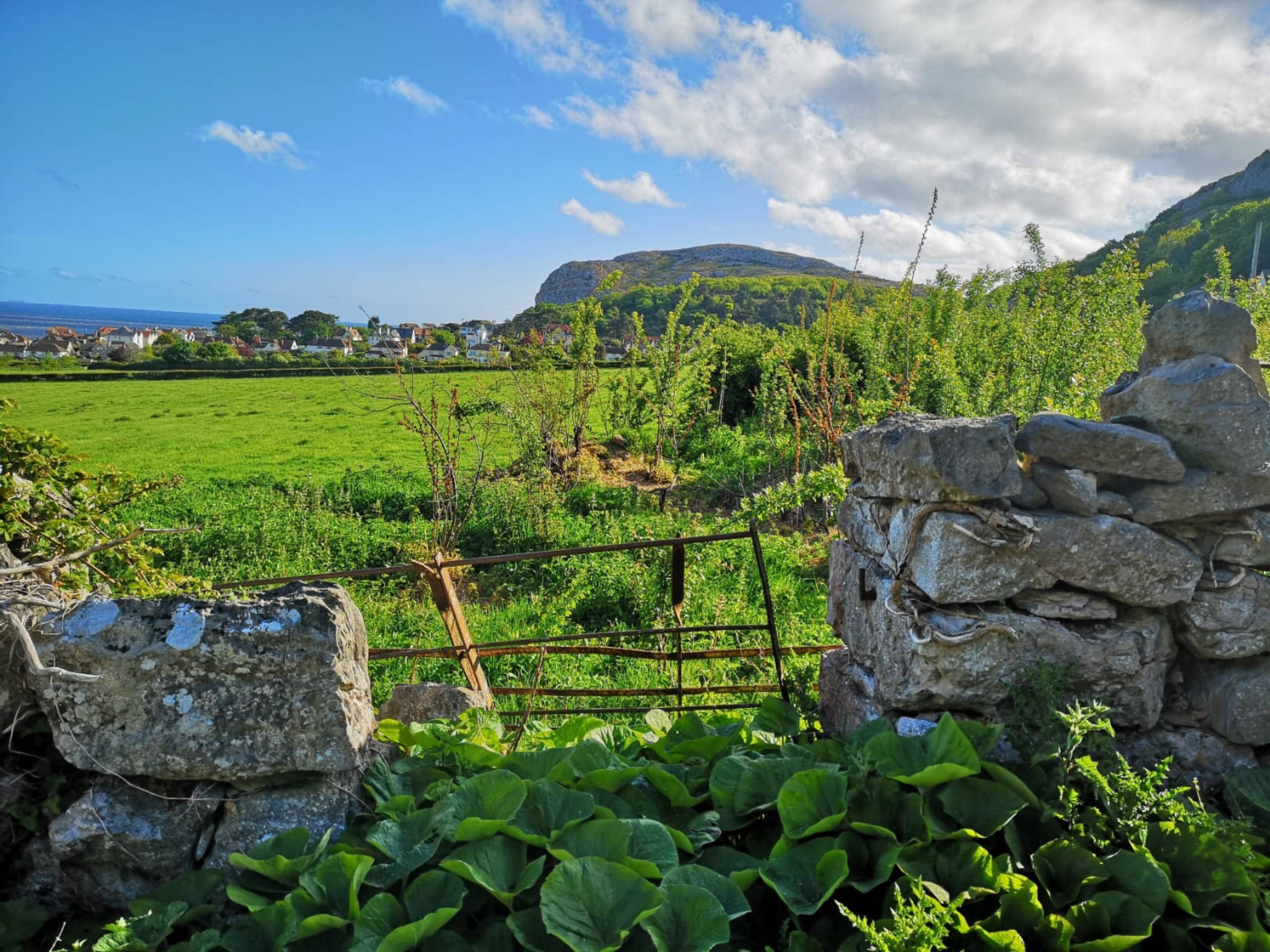 Surrounding Area