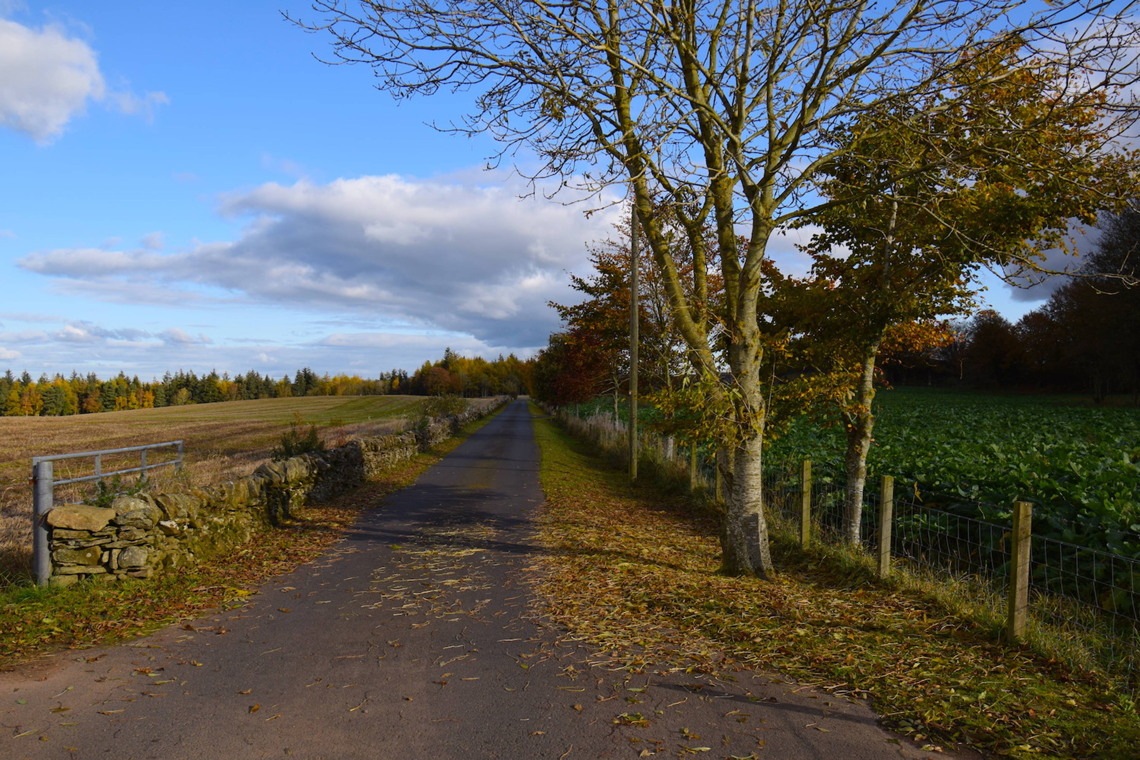 Driveway