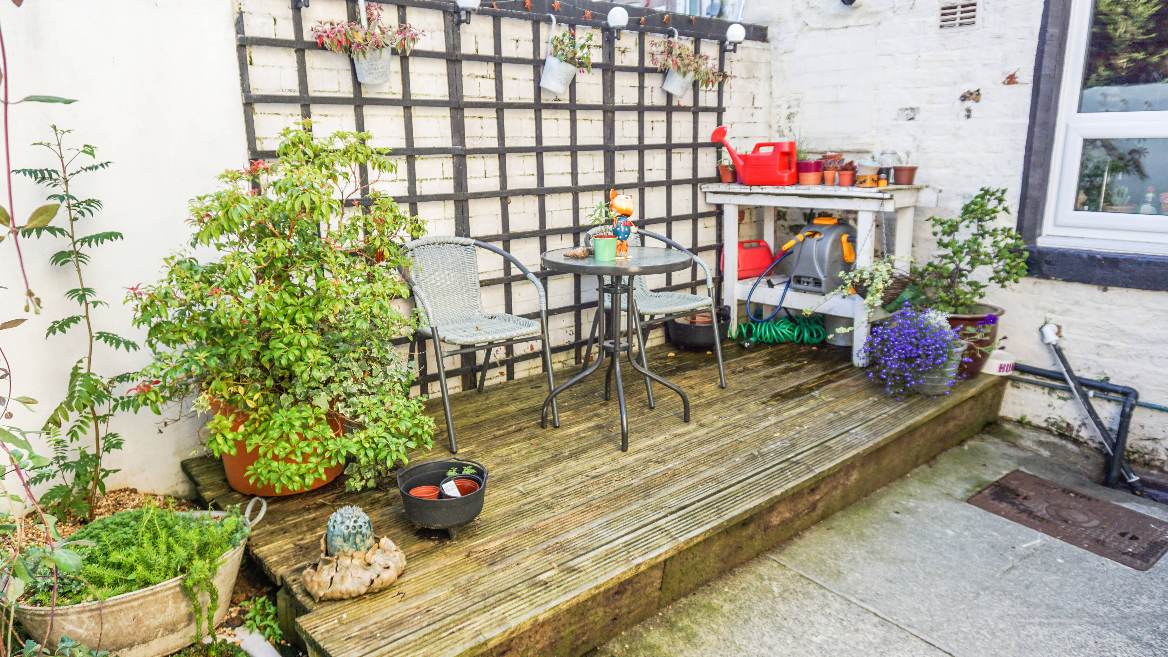 Side Garden