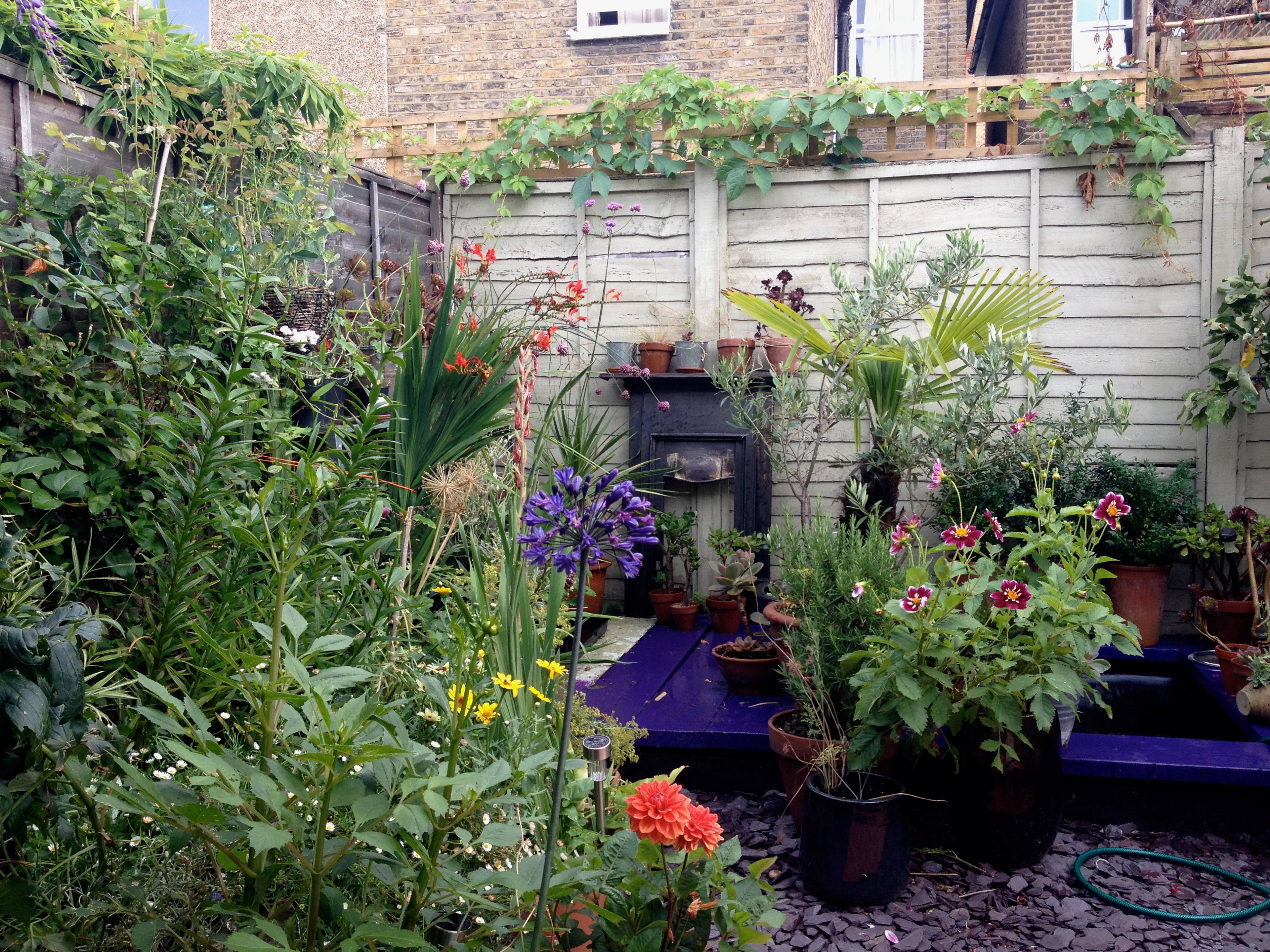 garden