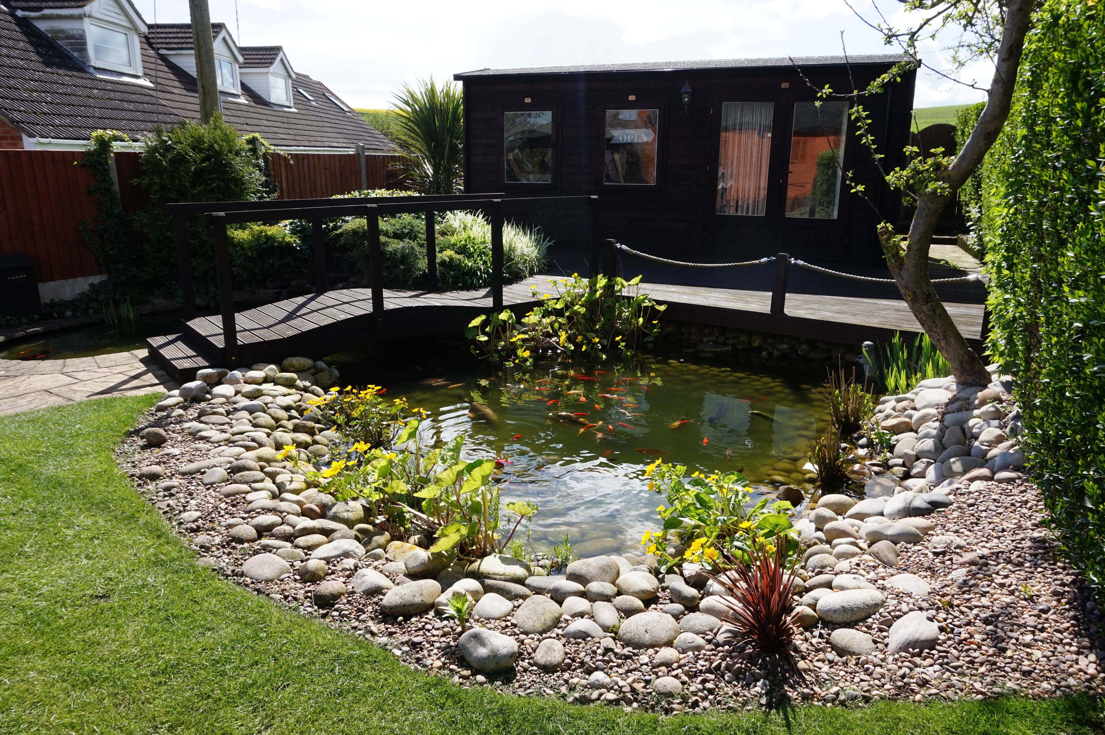 Pond