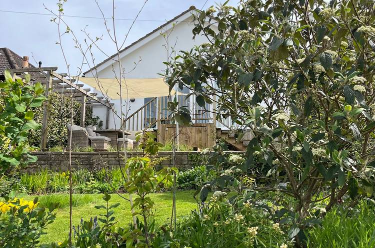 3 bedroom detached bungalow