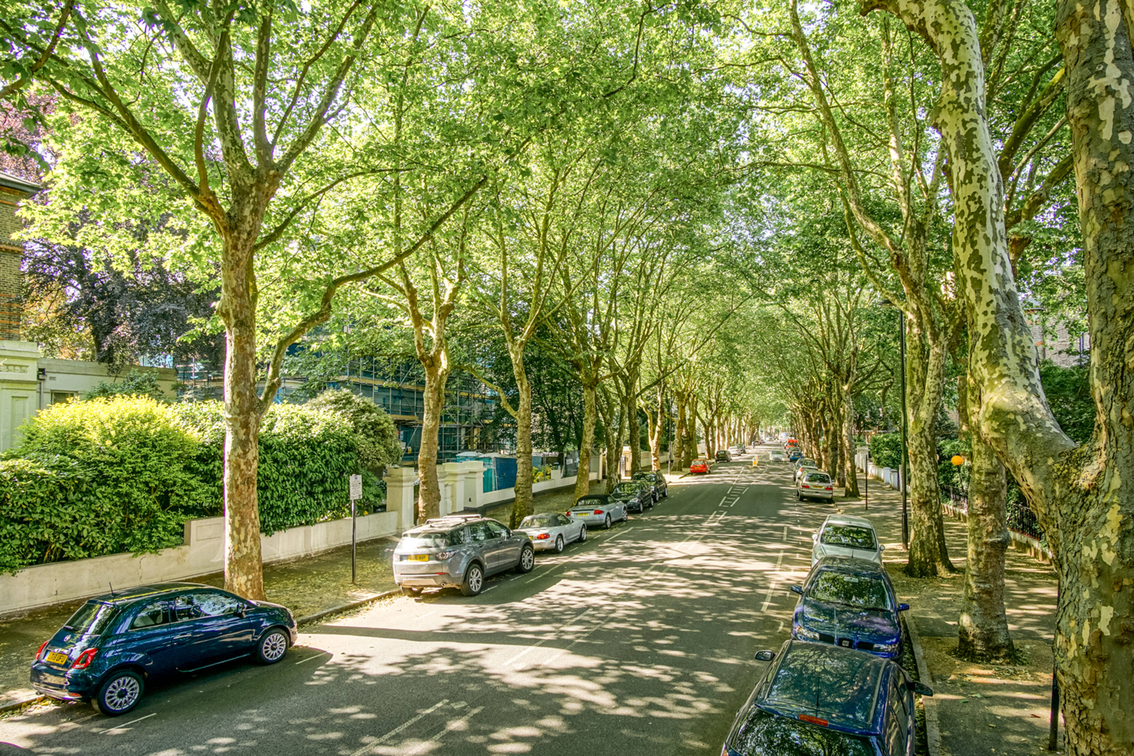 Street Scene