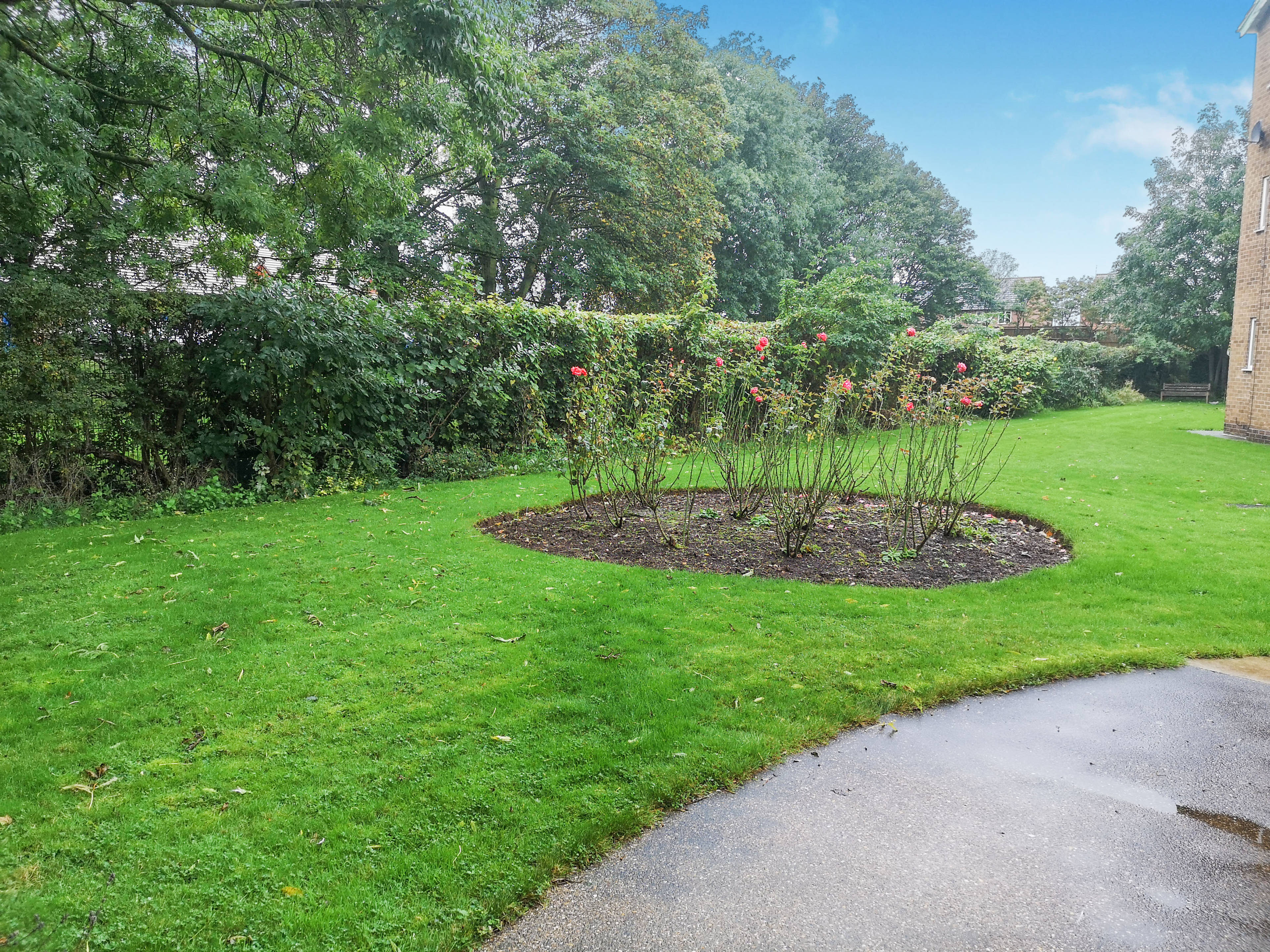Communal Gardens