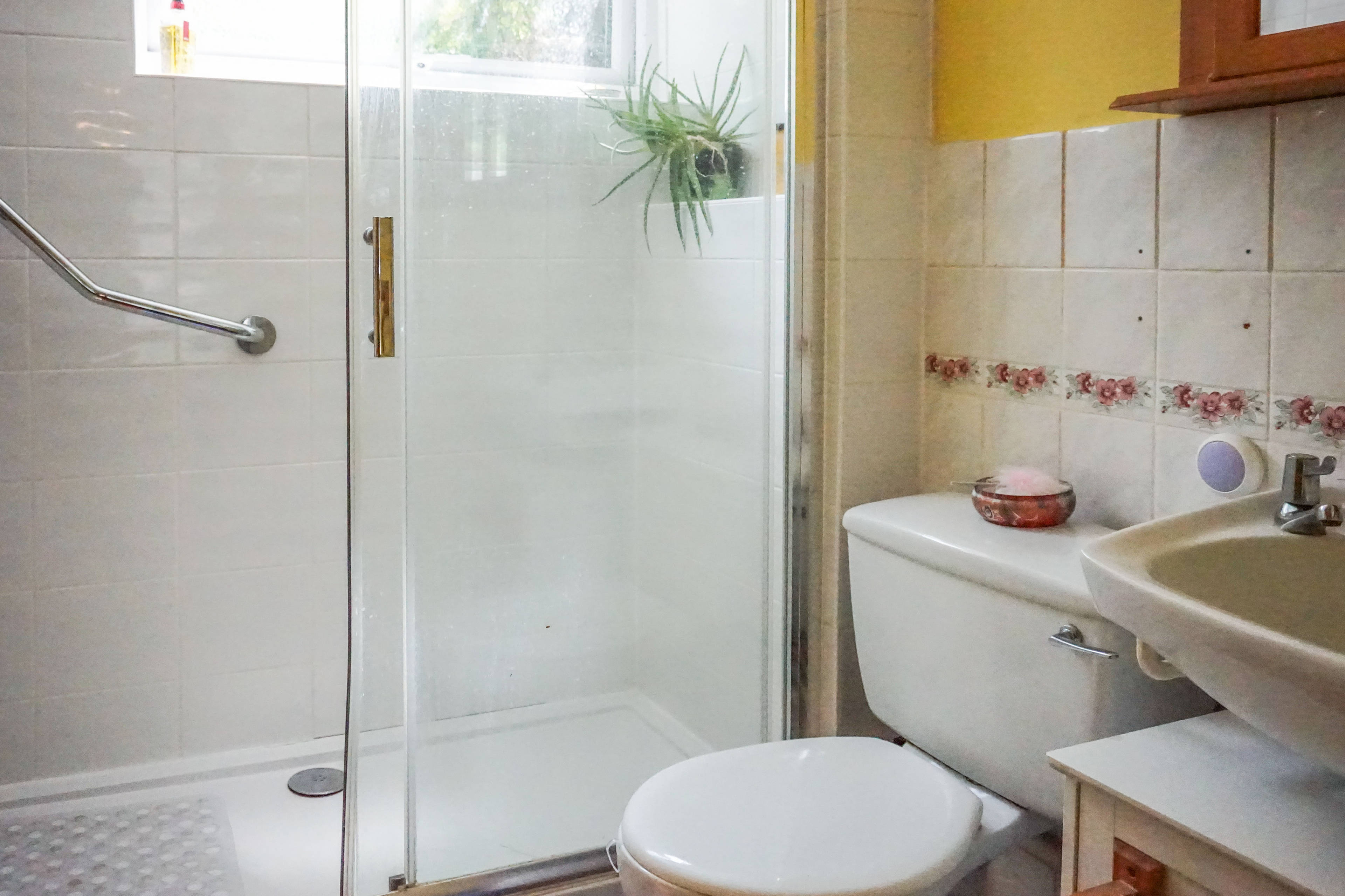 Annexe Shower Room