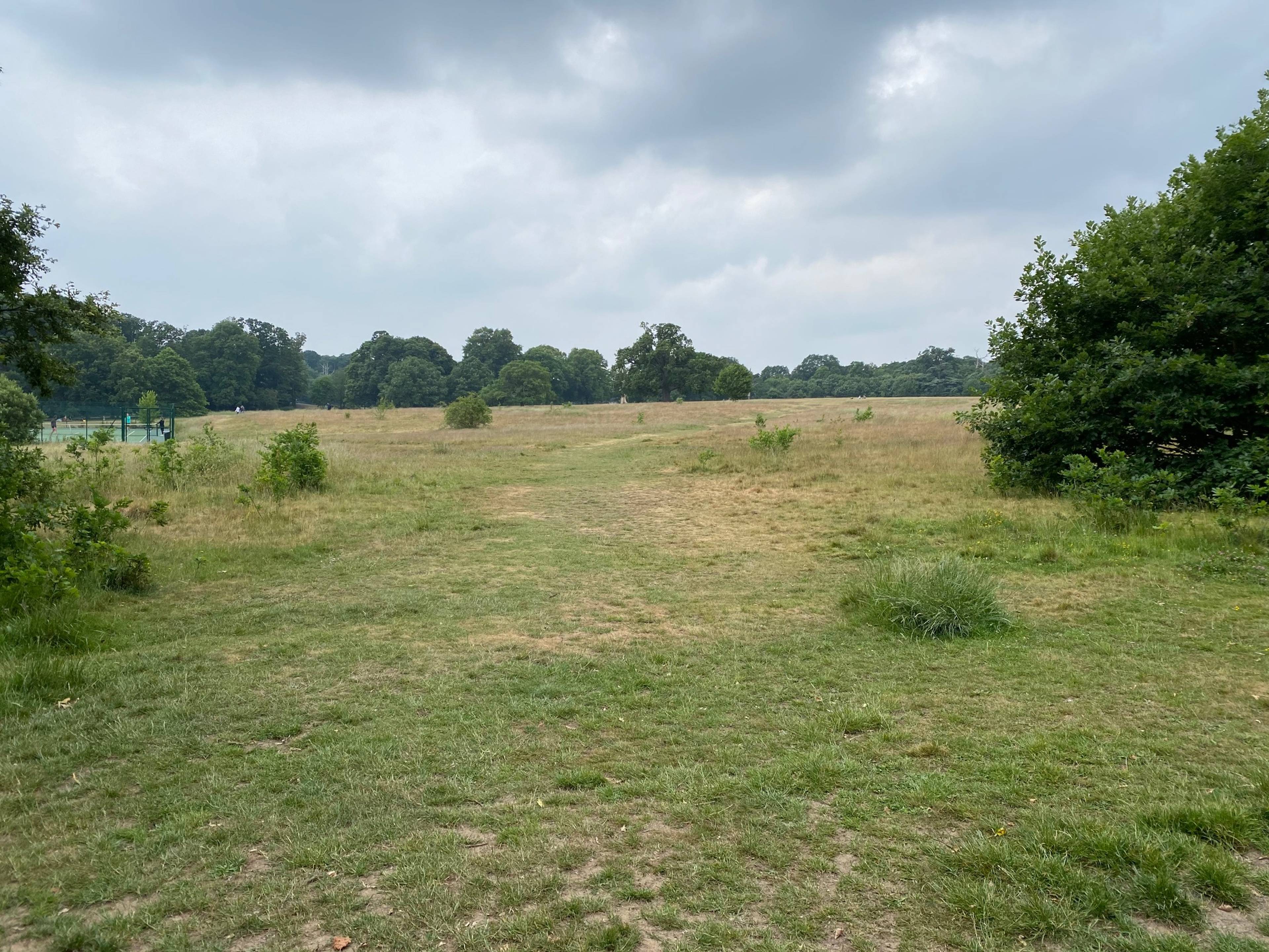 Local Area