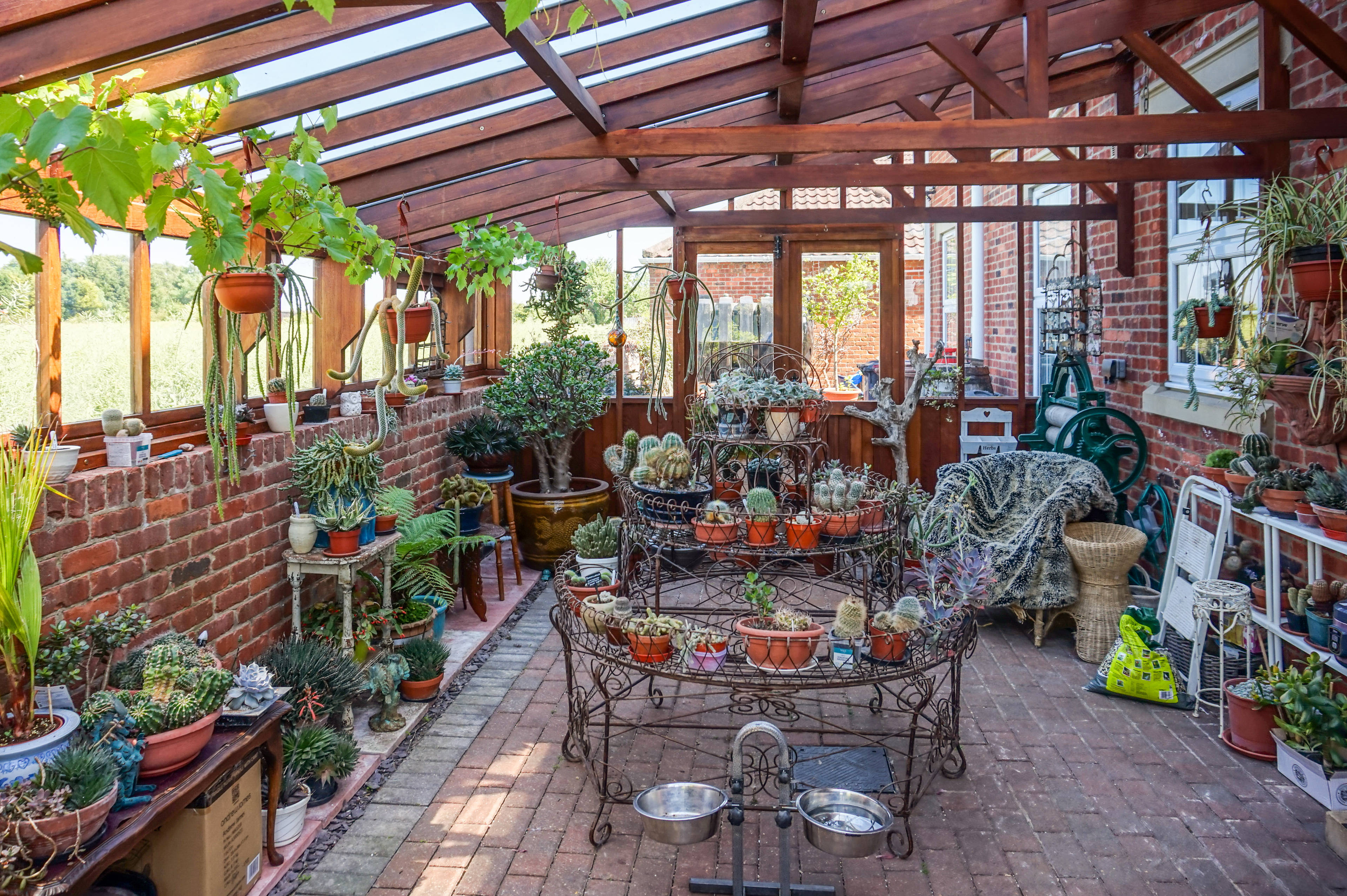 Greenhouse