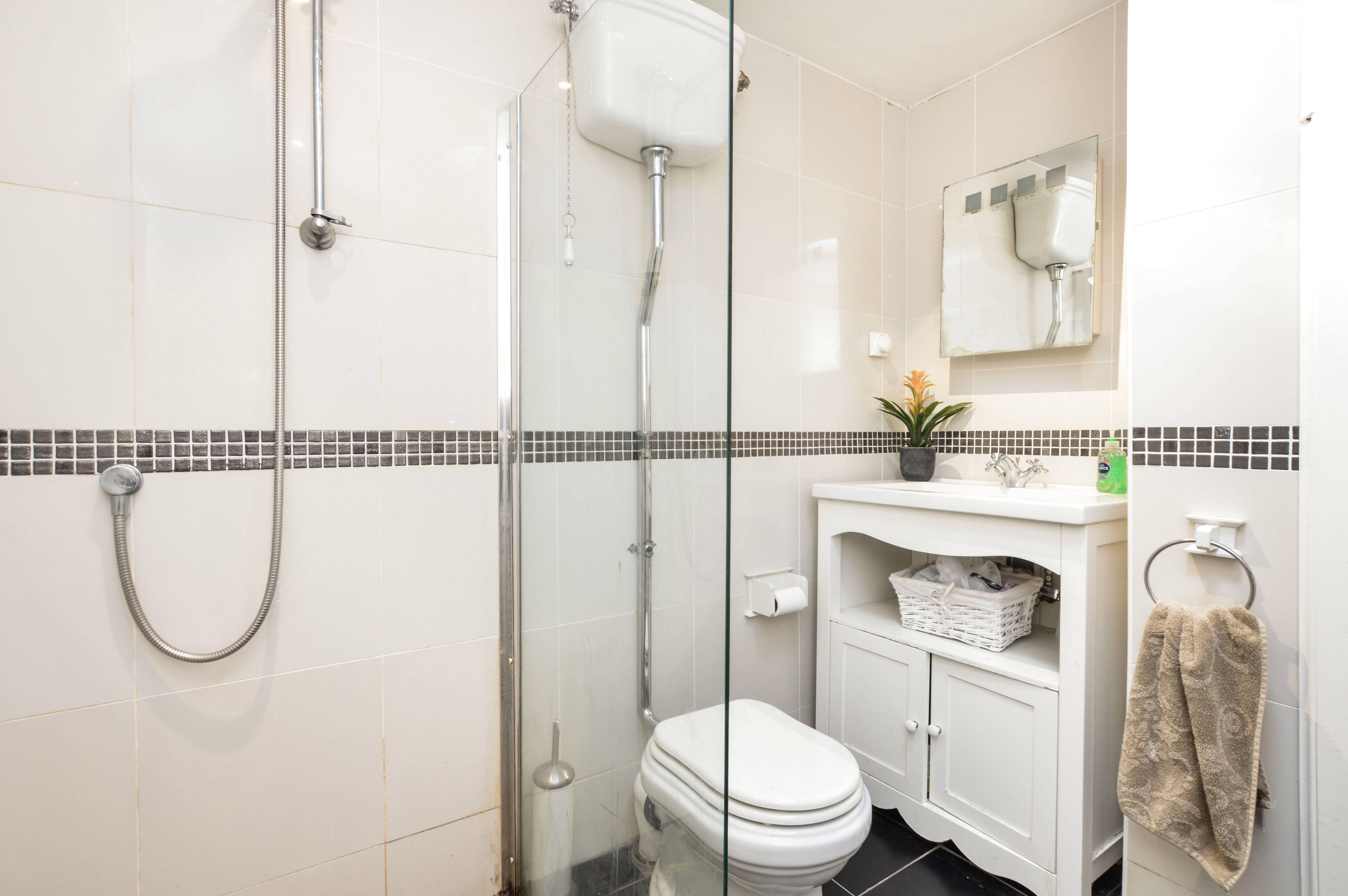 Downstairs Shower