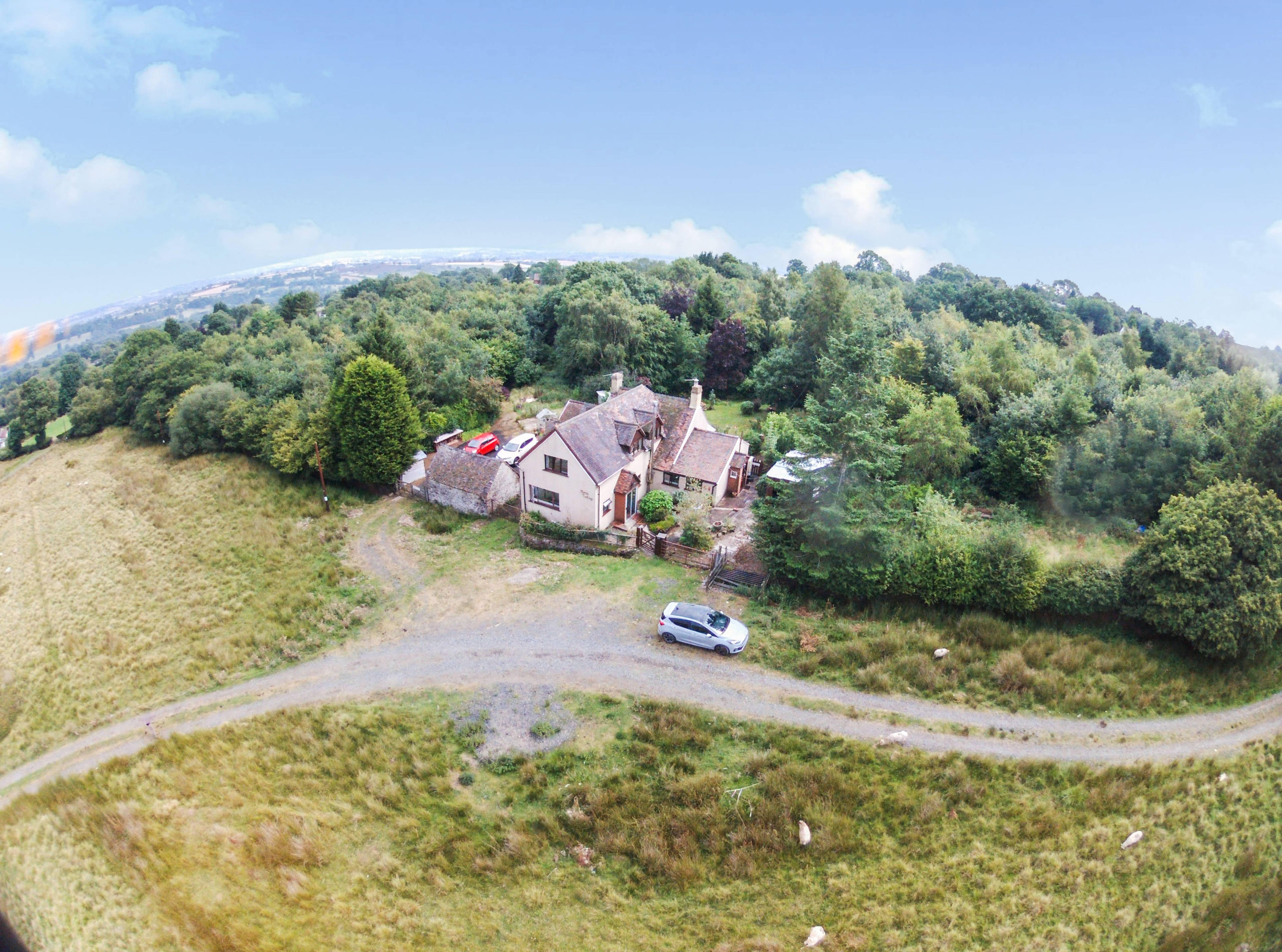 The Property