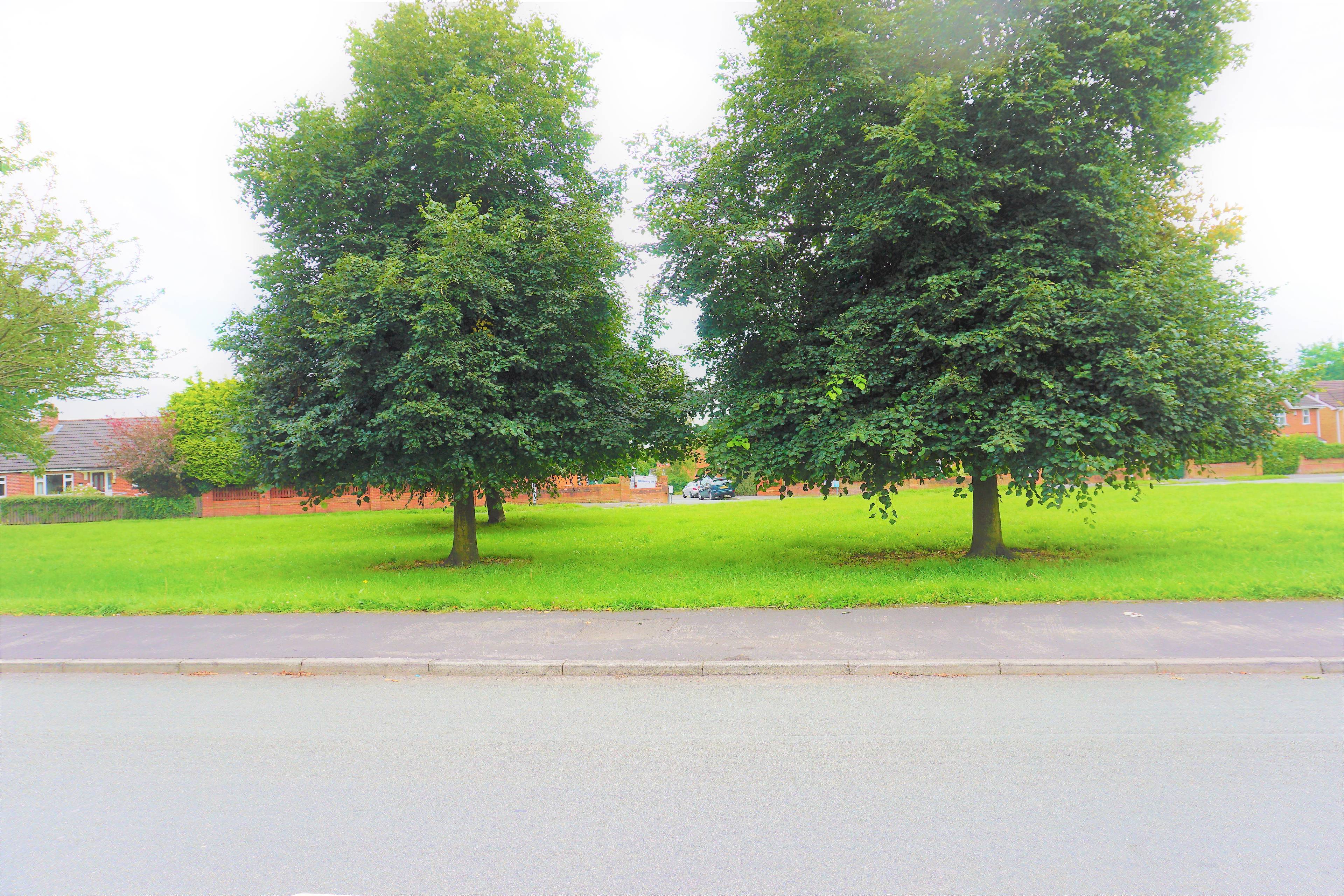 Nearby Park