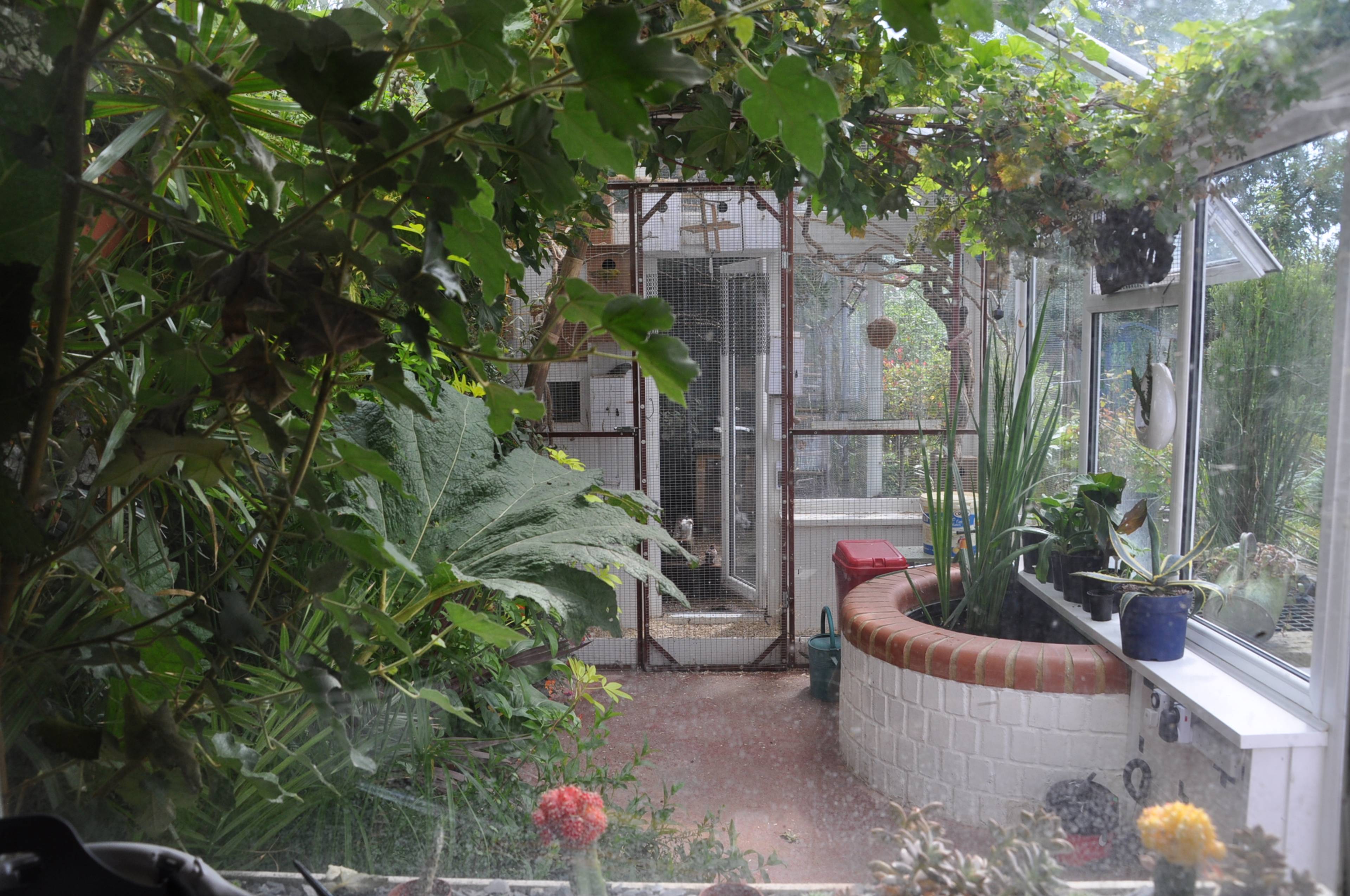 Conservatory Two